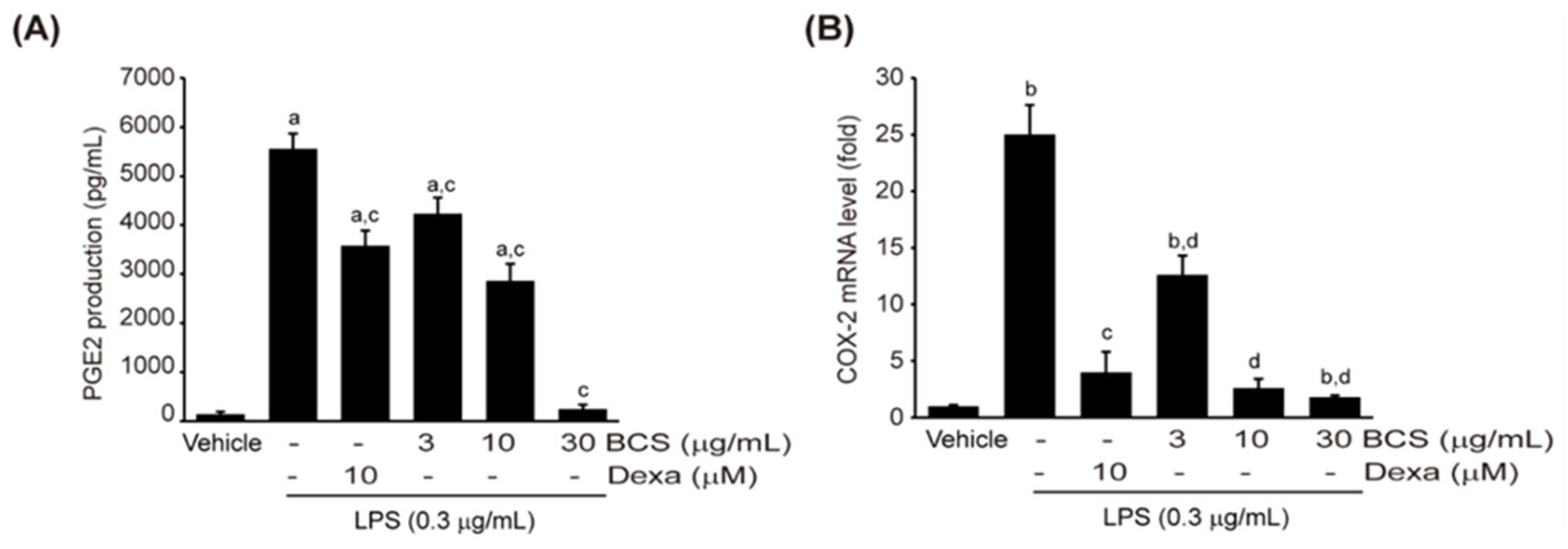 Medicina 59 02028 g004 Medicina 59 02028 g004