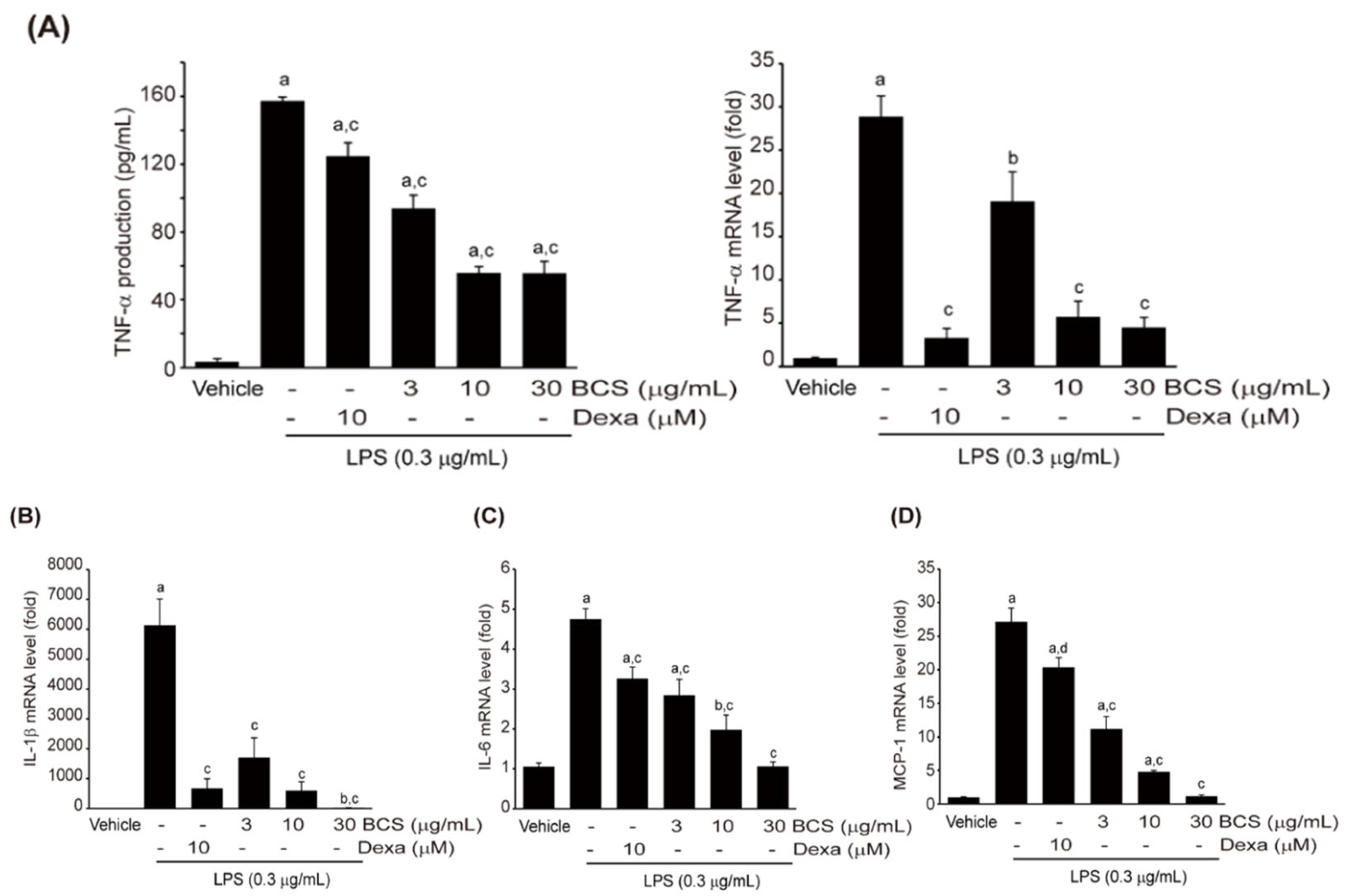 Medicina 59 02028 g005 Medicina 59 02028 g005