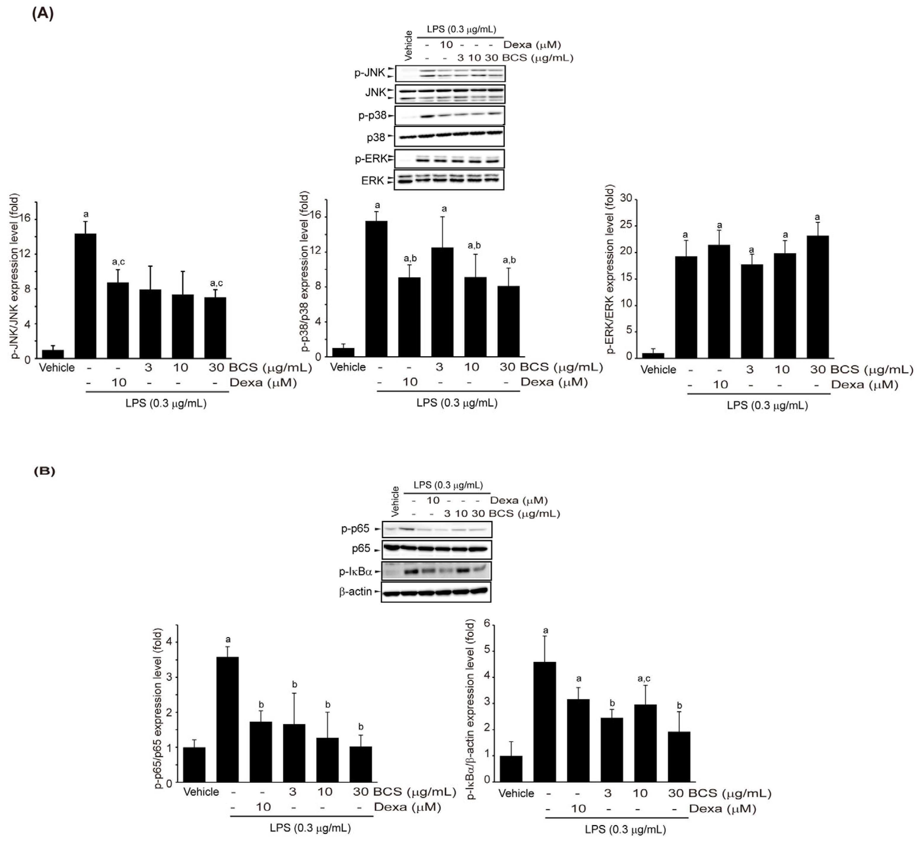 Medicina 59 02028 g006 Medicina 59 02028 g006