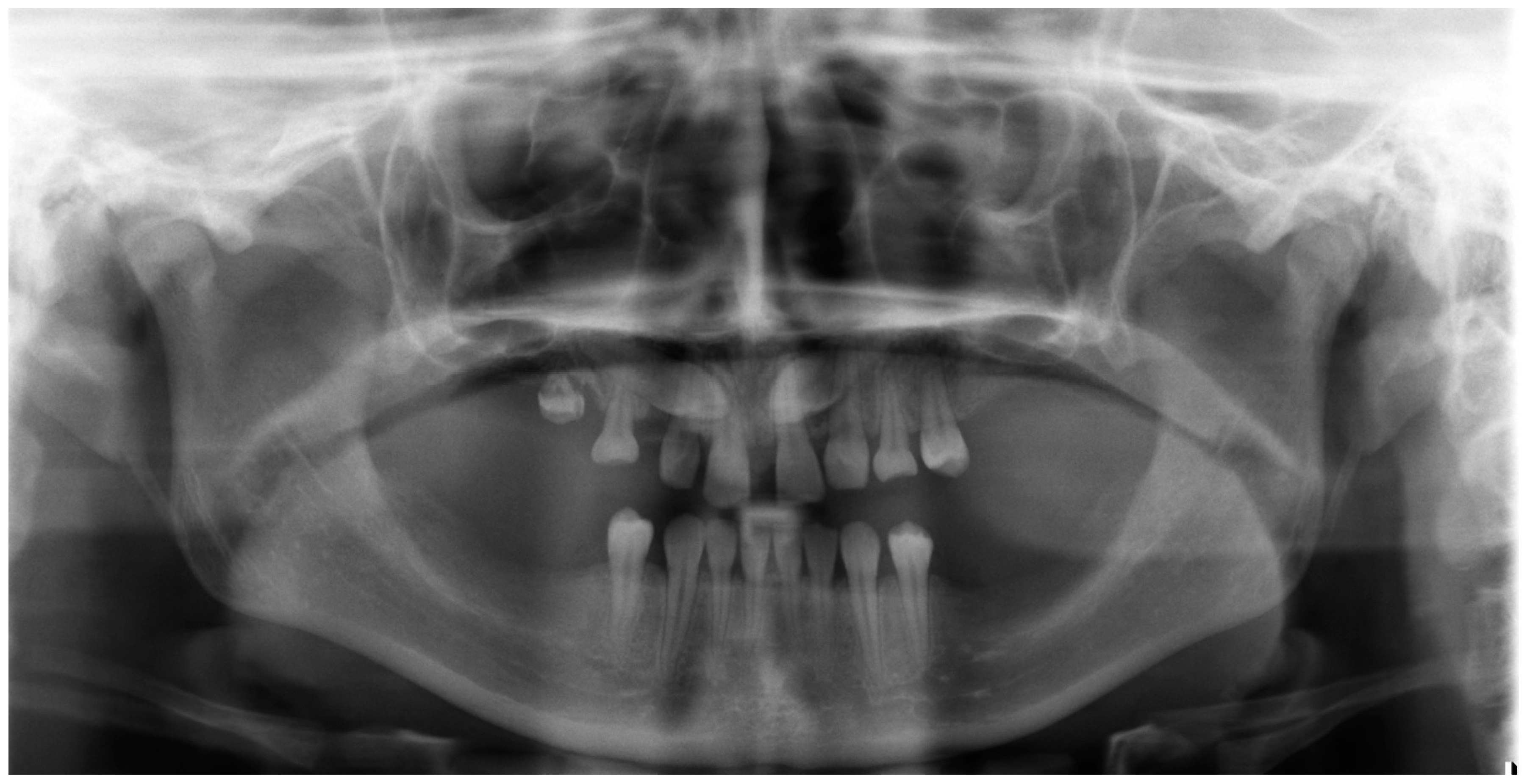 Medicina 59 02032 g003