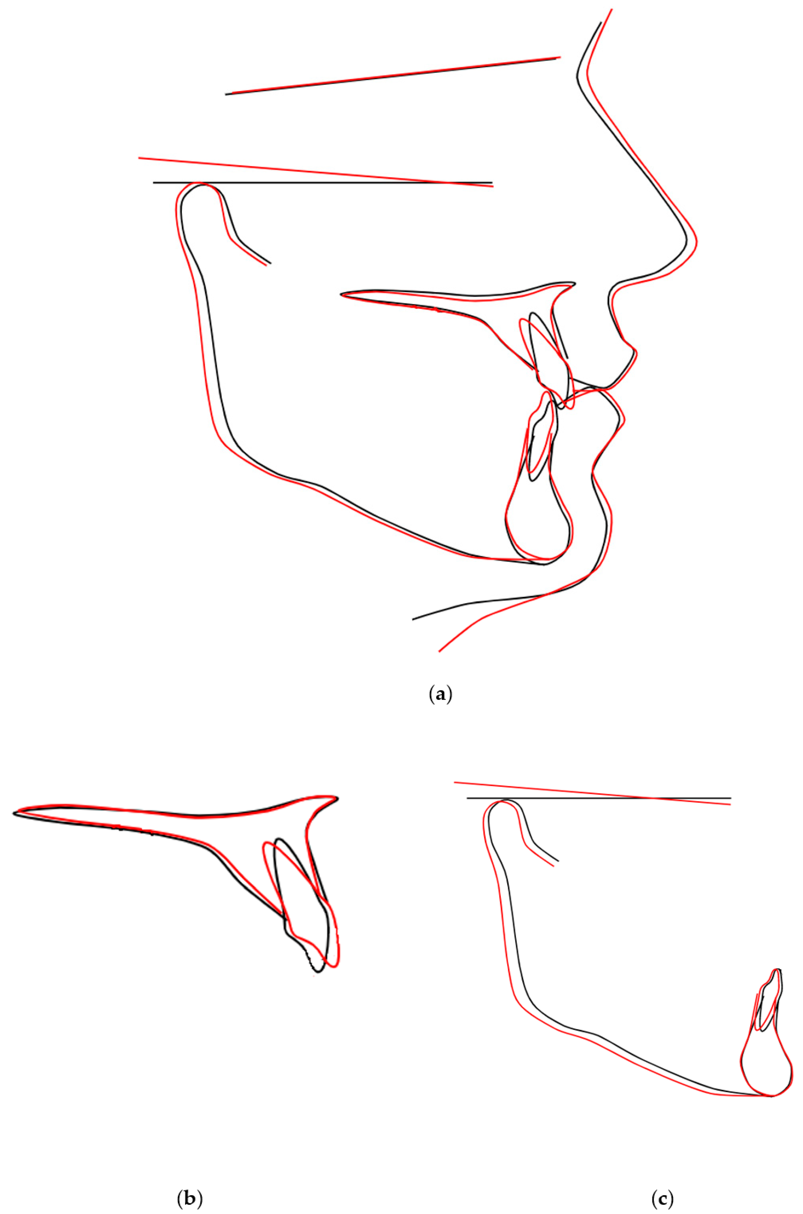 Medicina 59 02032 g013