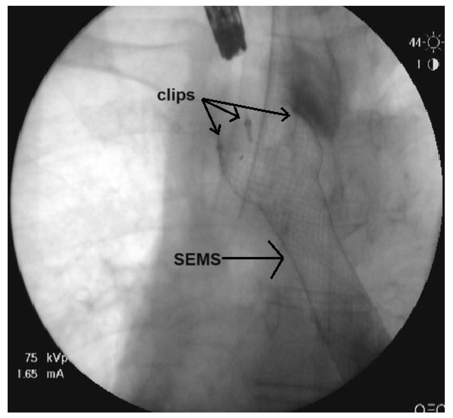 Medicina 59 02035 g002