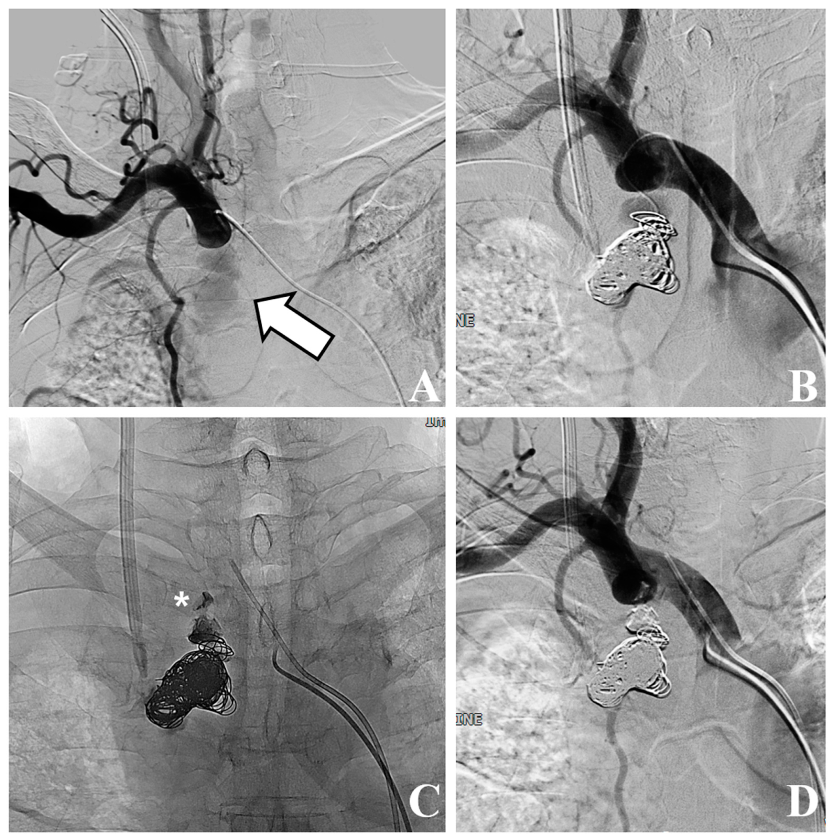 Medicina 59 02038 g002