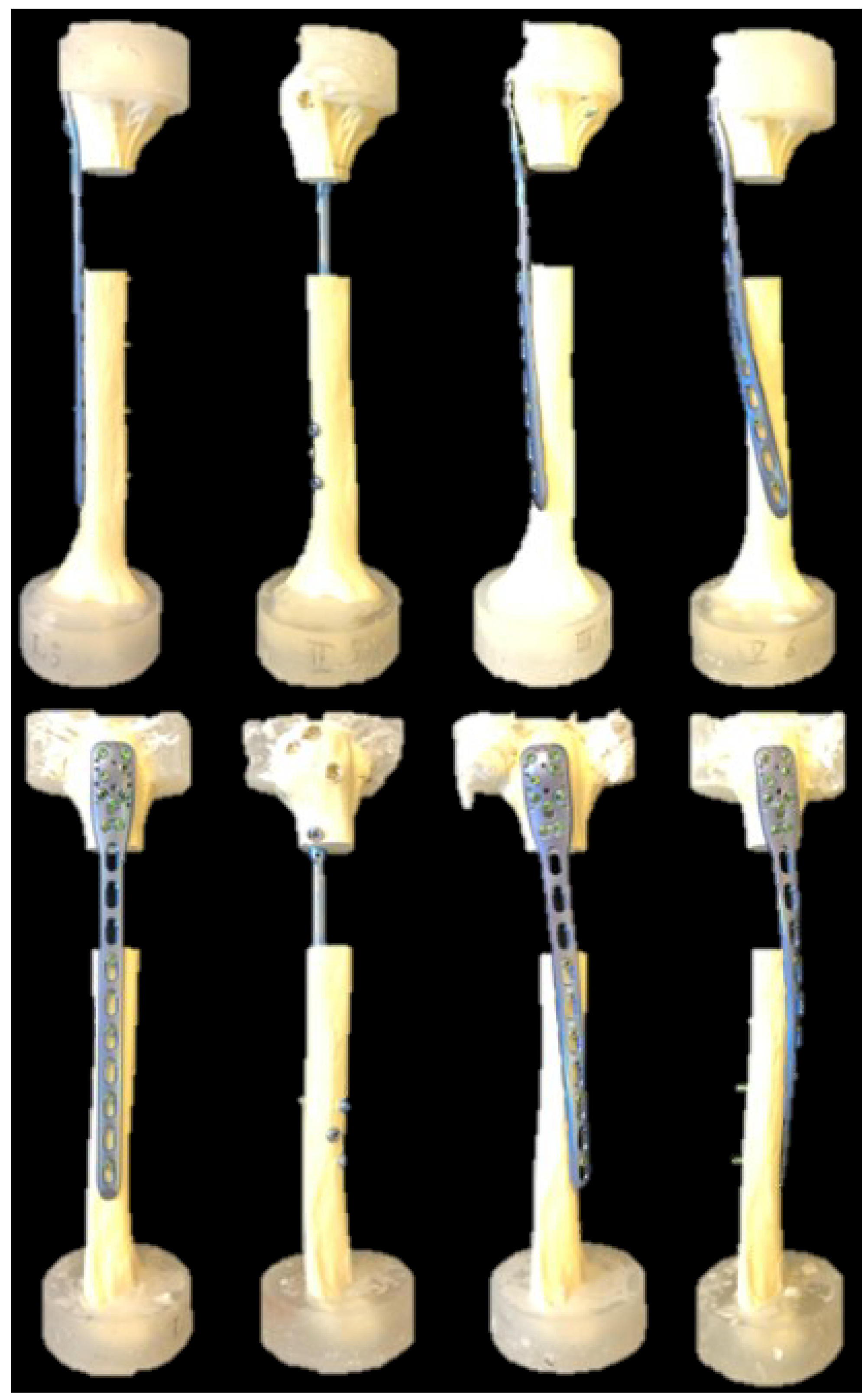 Medicina 59 02043 g001