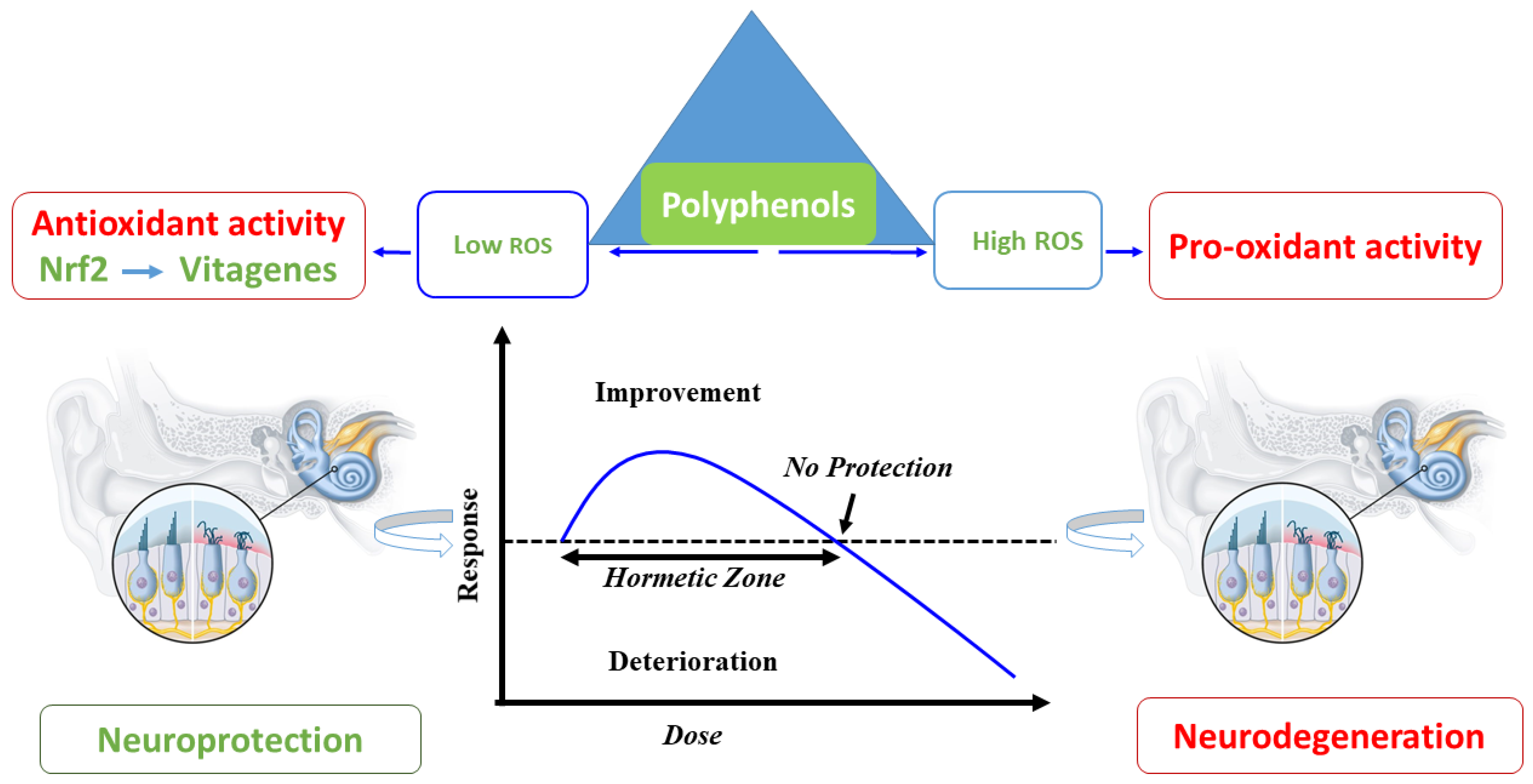 Medicina 59 02045 g002