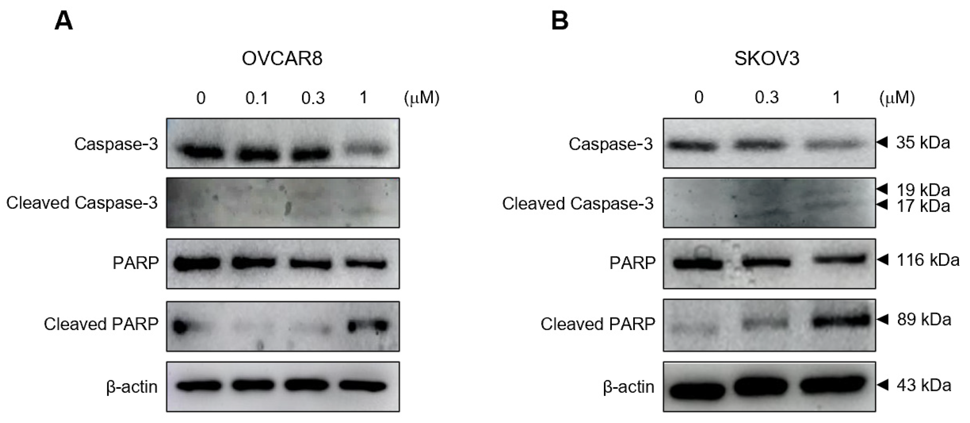 Medicina 59 02059 g004
