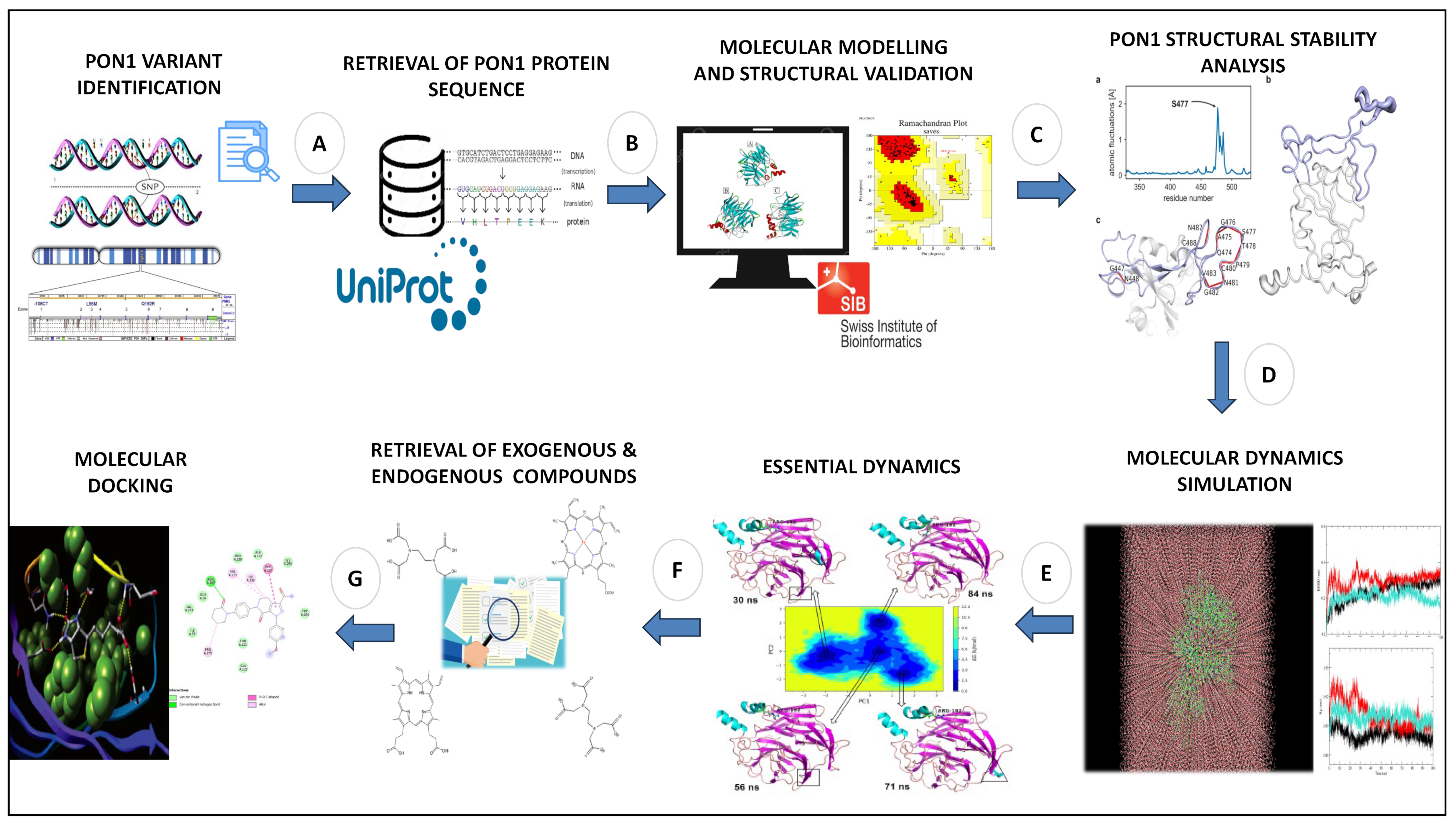 Medicina 59 02060 g001 Medicina 59 02060 g001