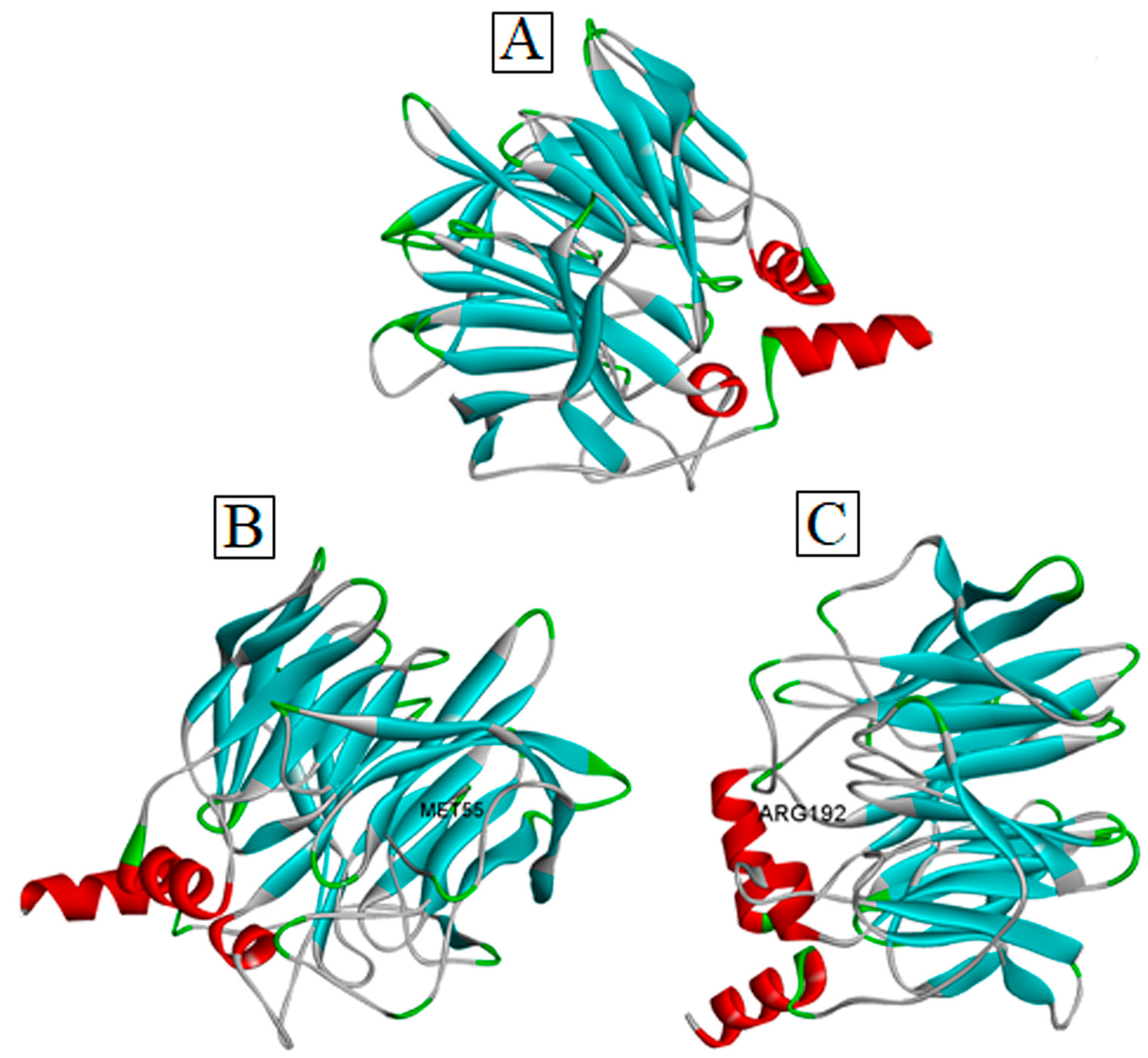 Medicina 59 02060 g002 Medicina 59 02060 g002