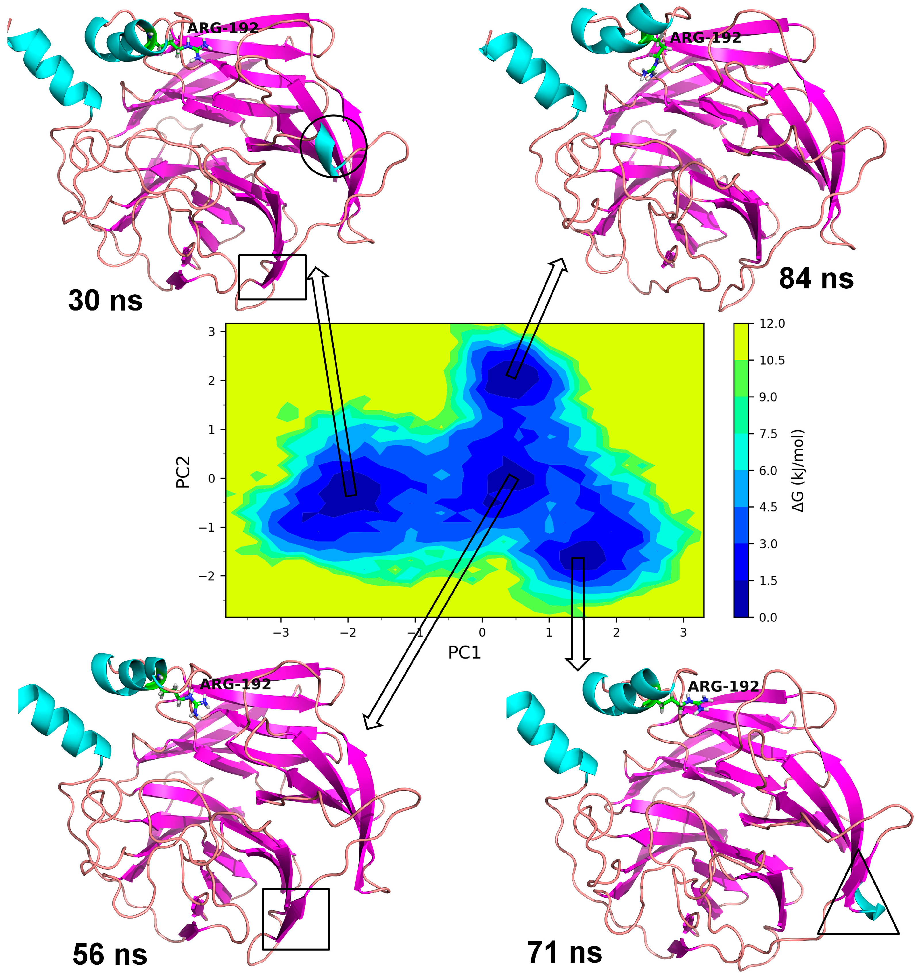 Medicina 59 02060 g010 Medicina 59 02060 g010