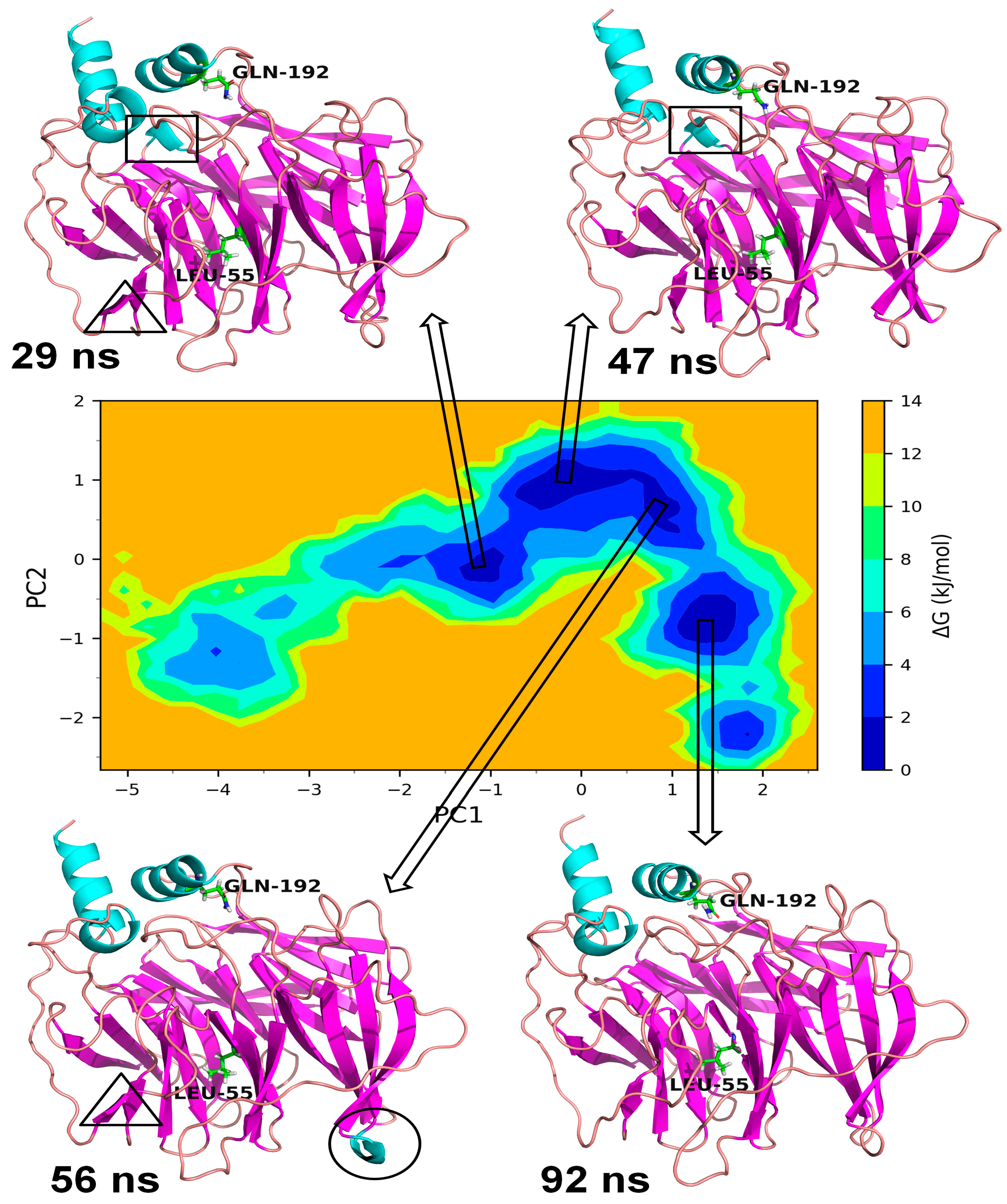 Medicina 59 02060 g011 Medicina 59 02060 g011