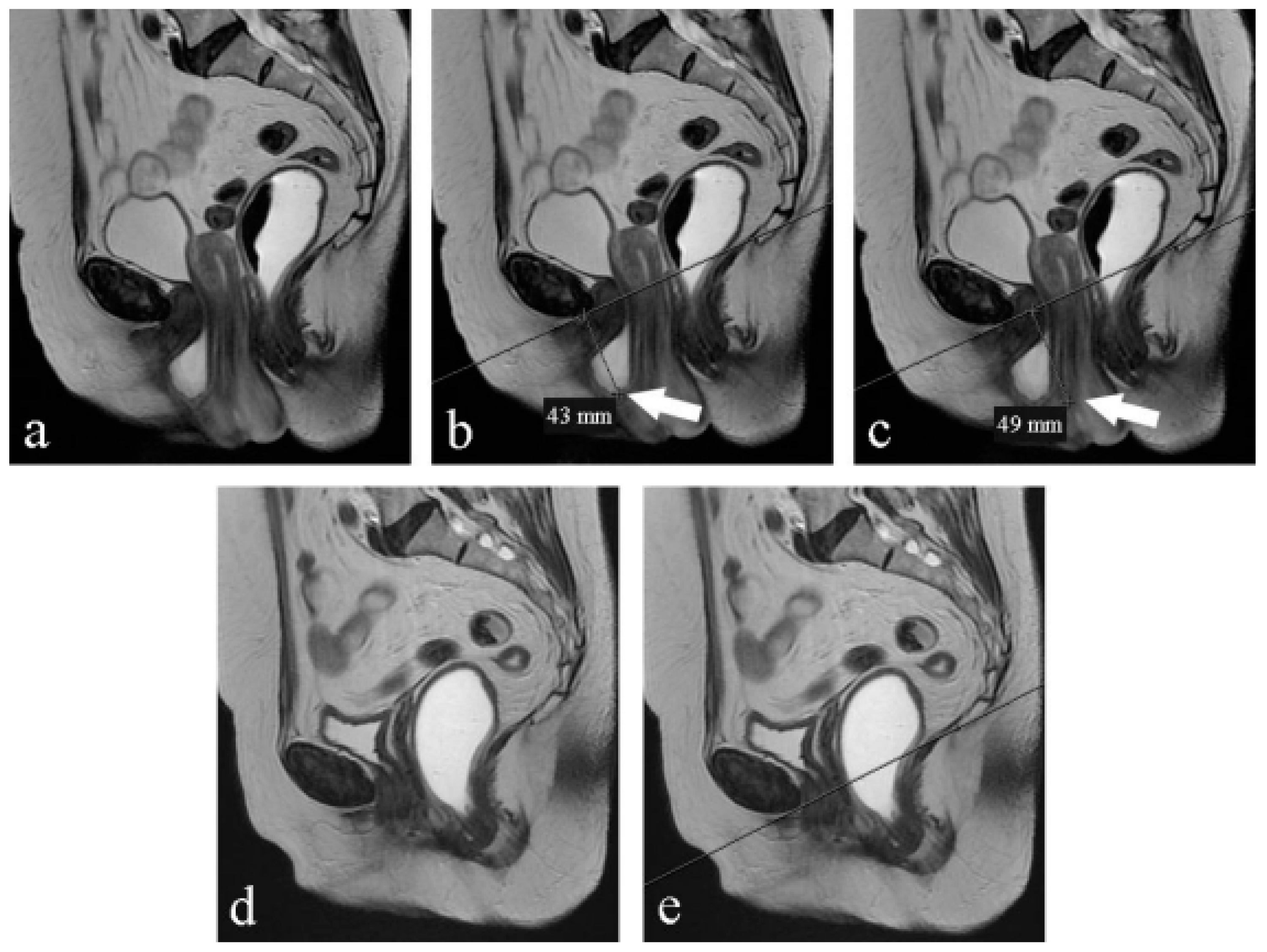 Medicina 59 02074 g001