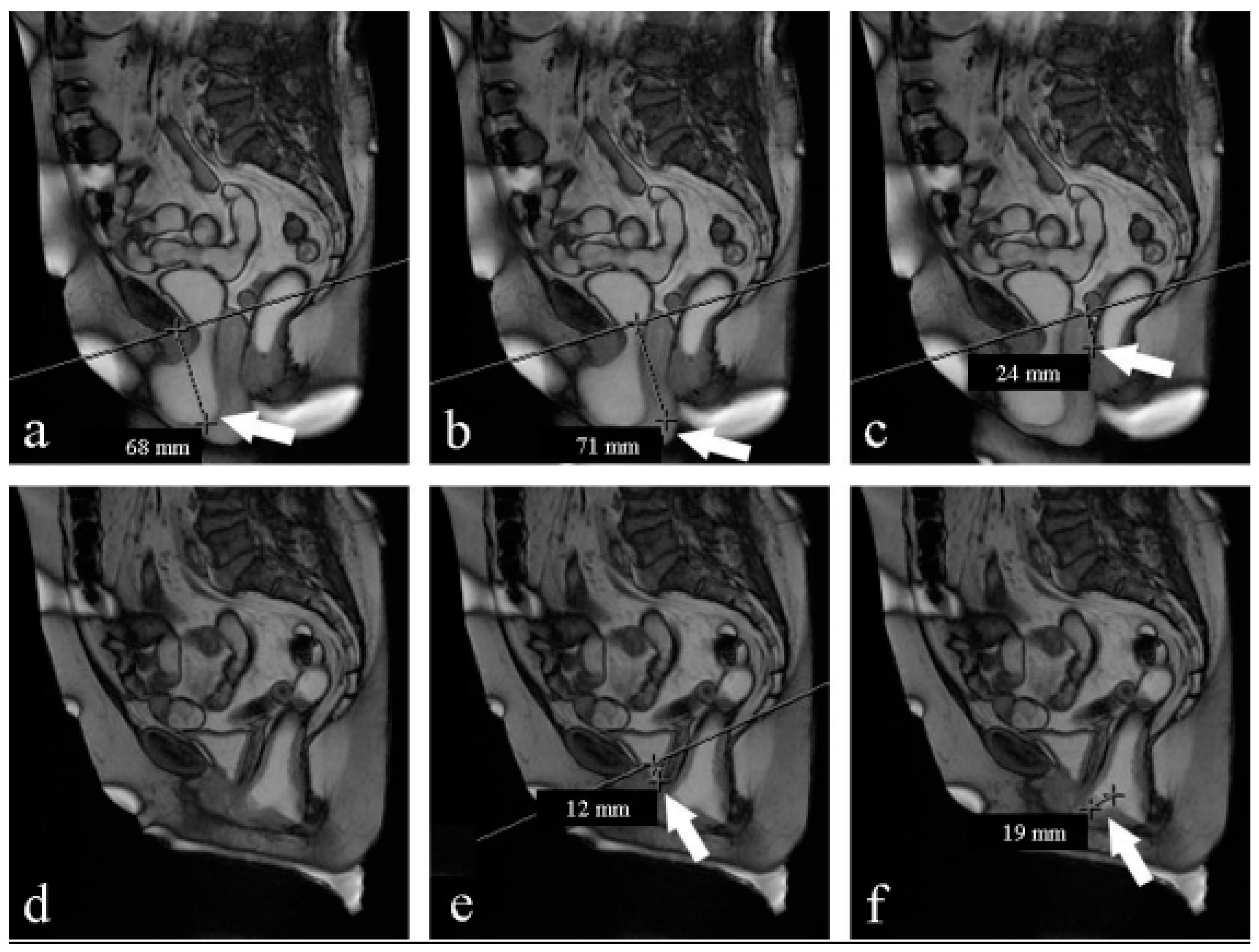 Medicina 59 02074 g002