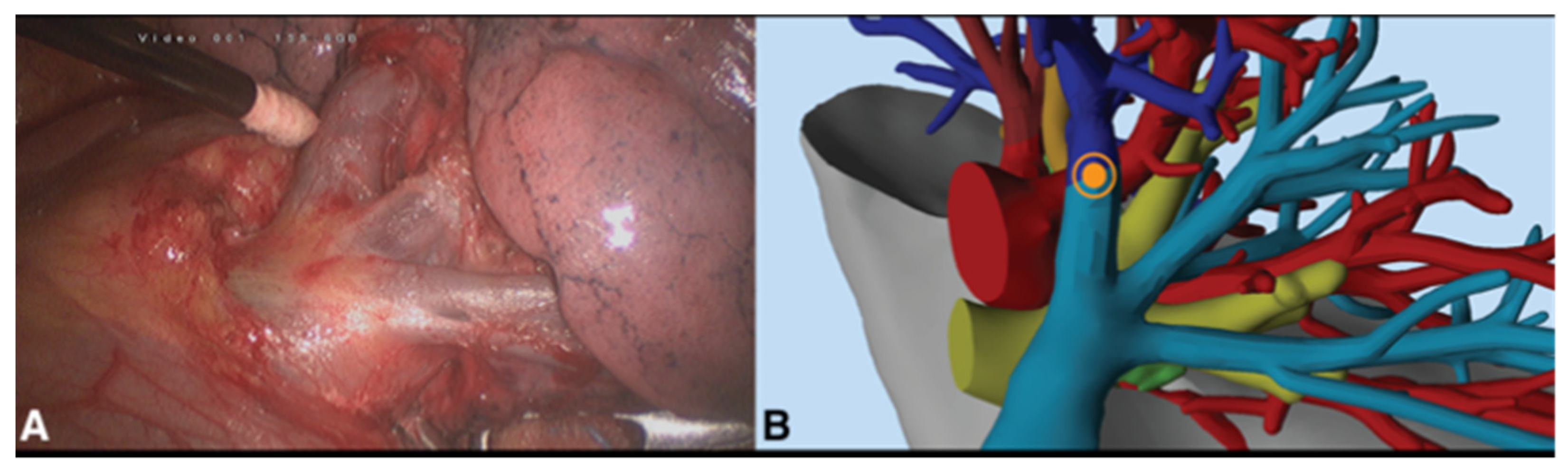 Medicina 59 02079 g003