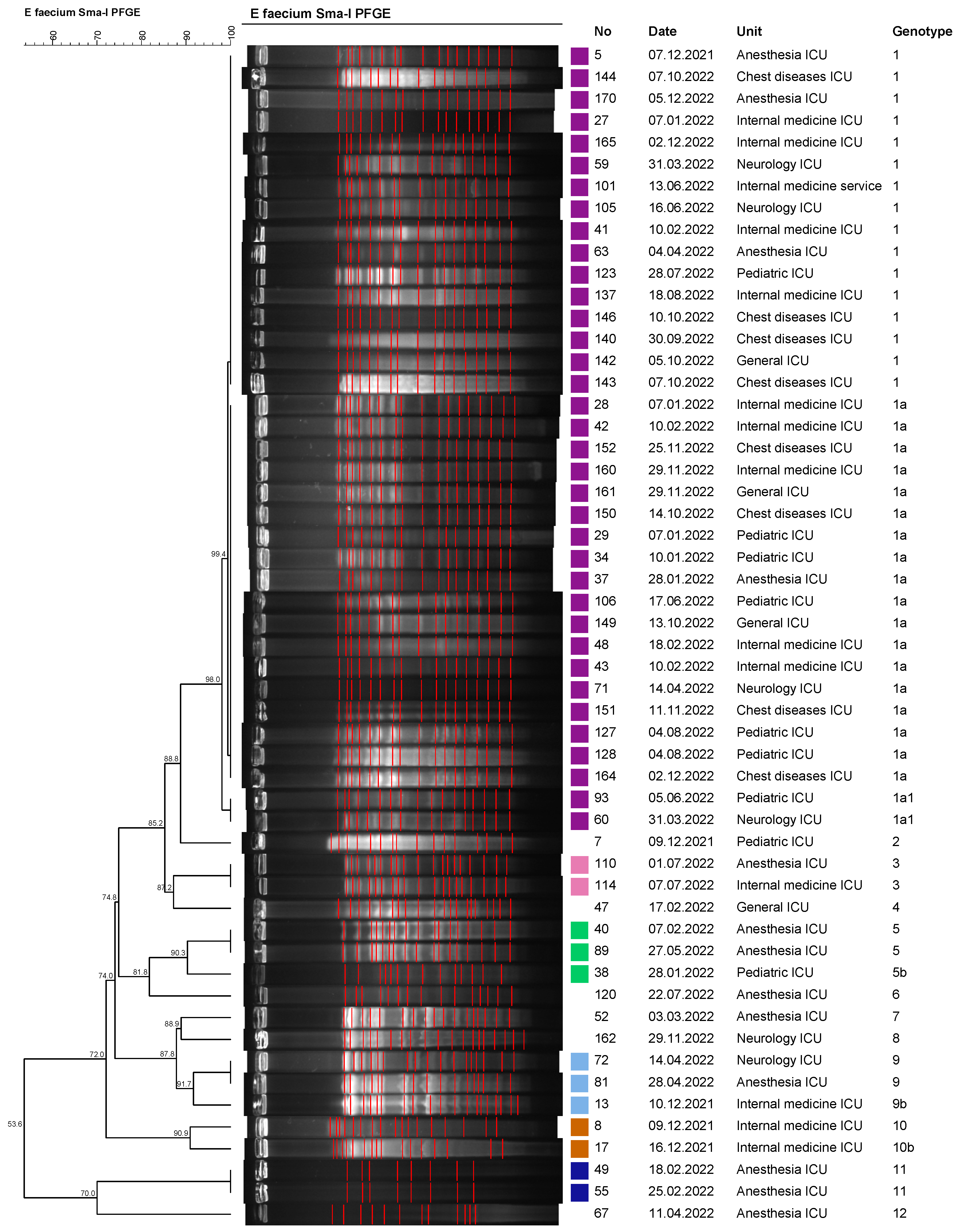 Medicina 59 02081 g002 Medicina 59 02081 g002