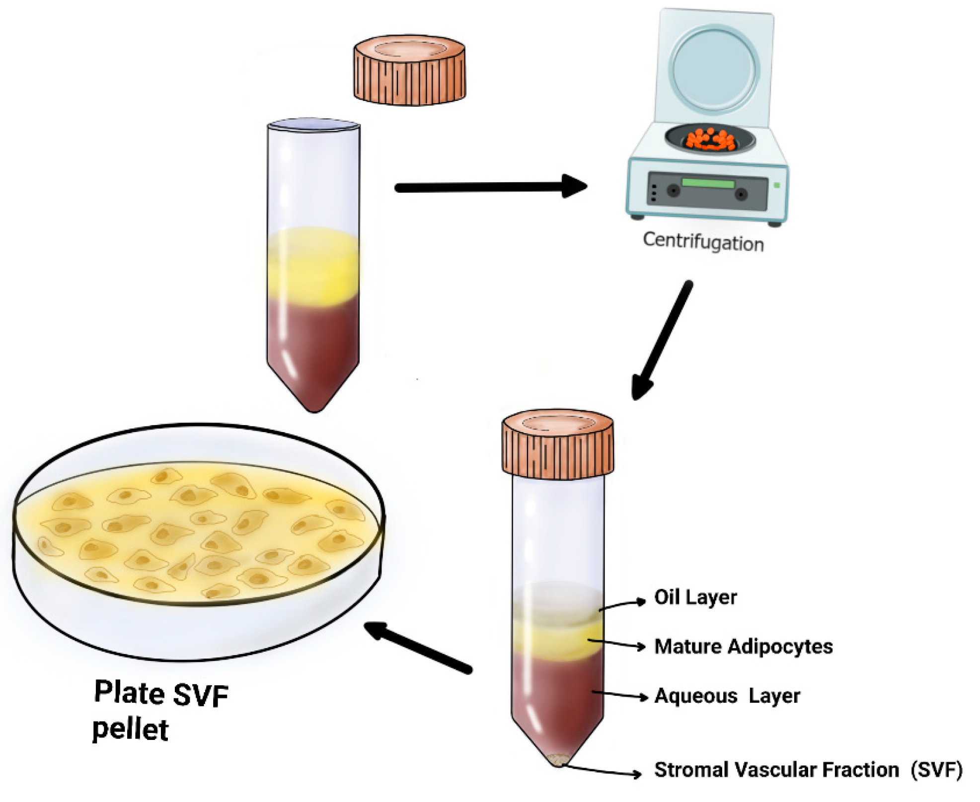 Medicina 59 02090 g002