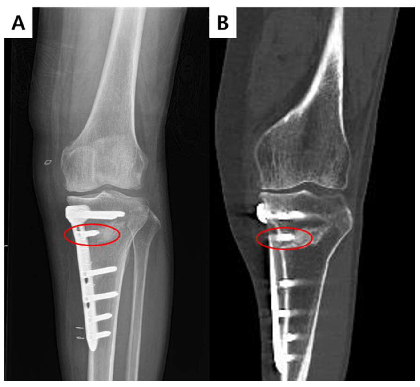 Medicina 59 02104 g001