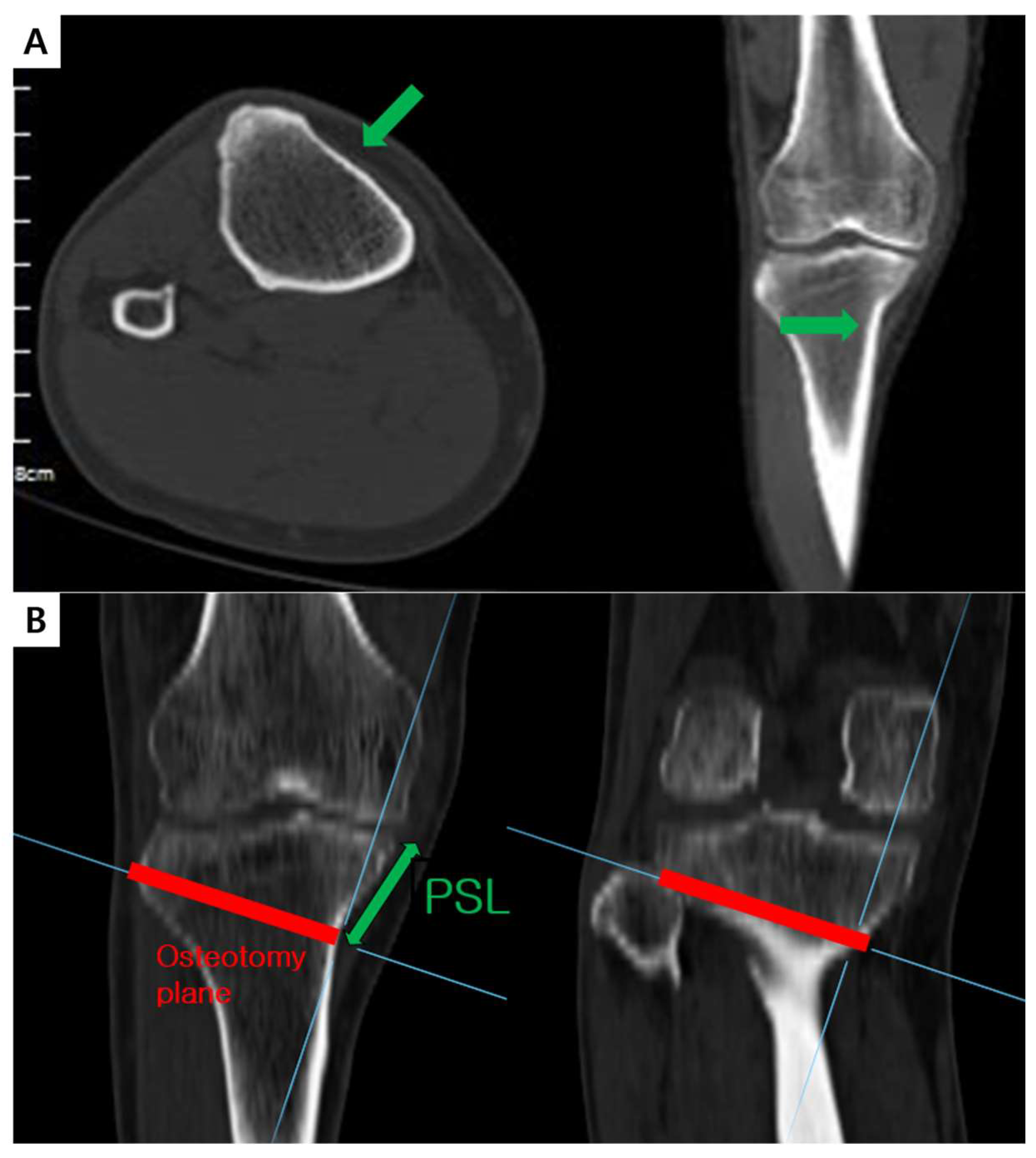 Medicina 59 02104 g002