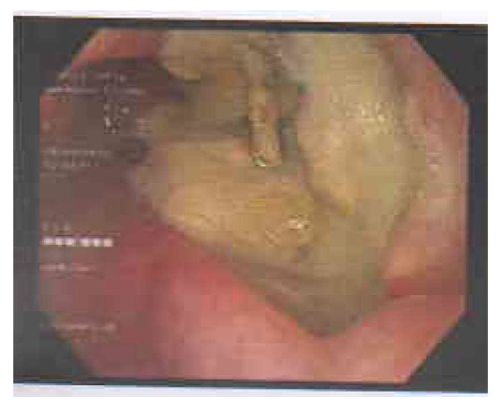 Medicina 59 02106 g002