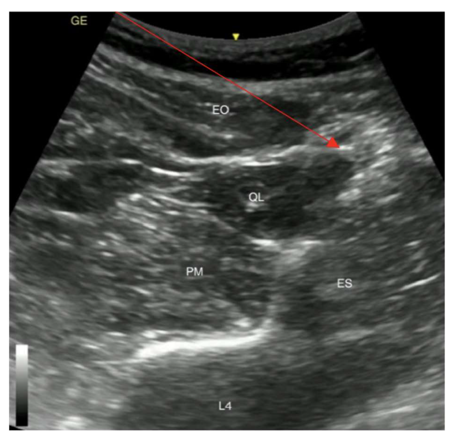 Medicina 59 02106 g003