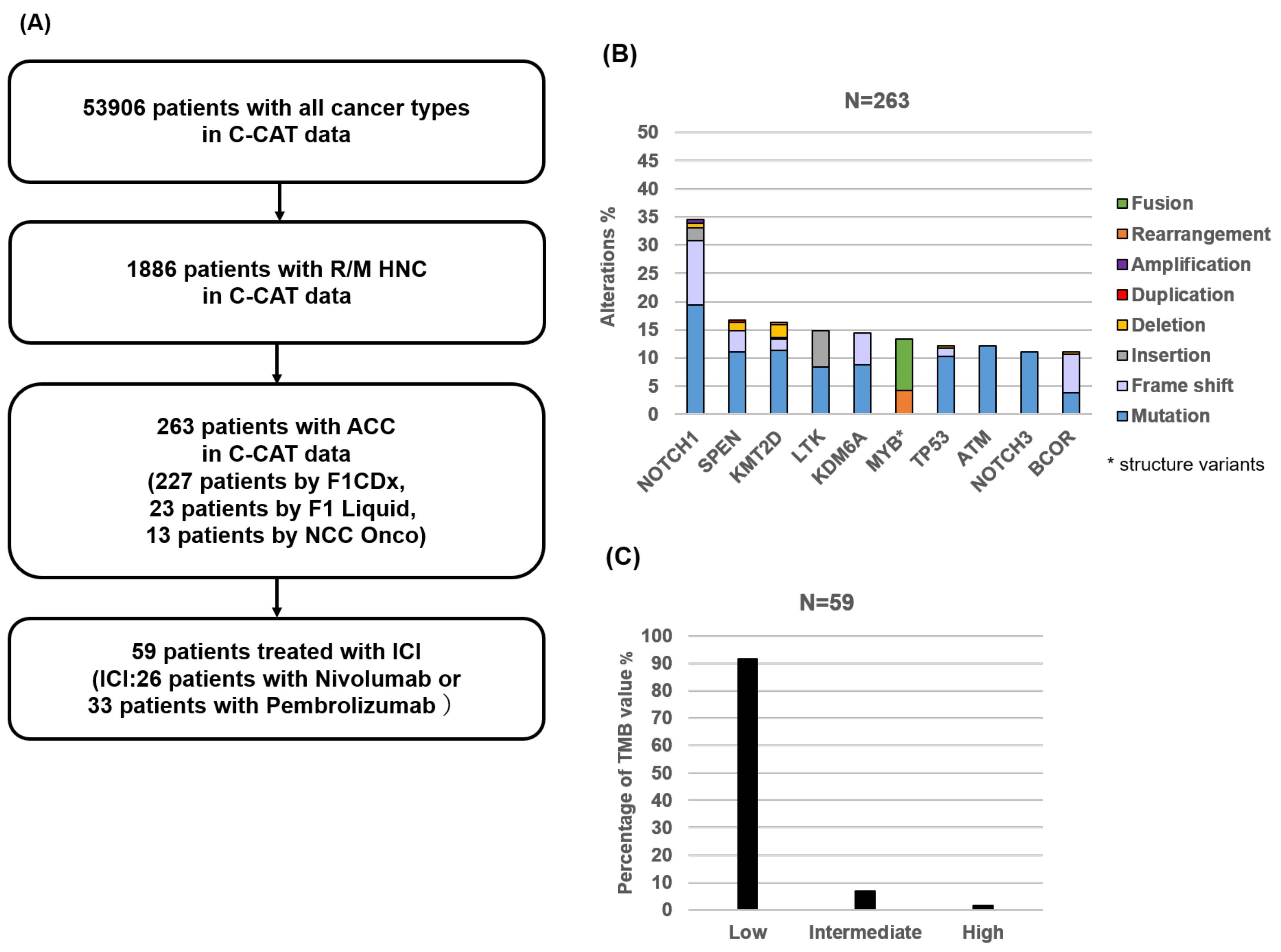 Medicina 59 02111 g001