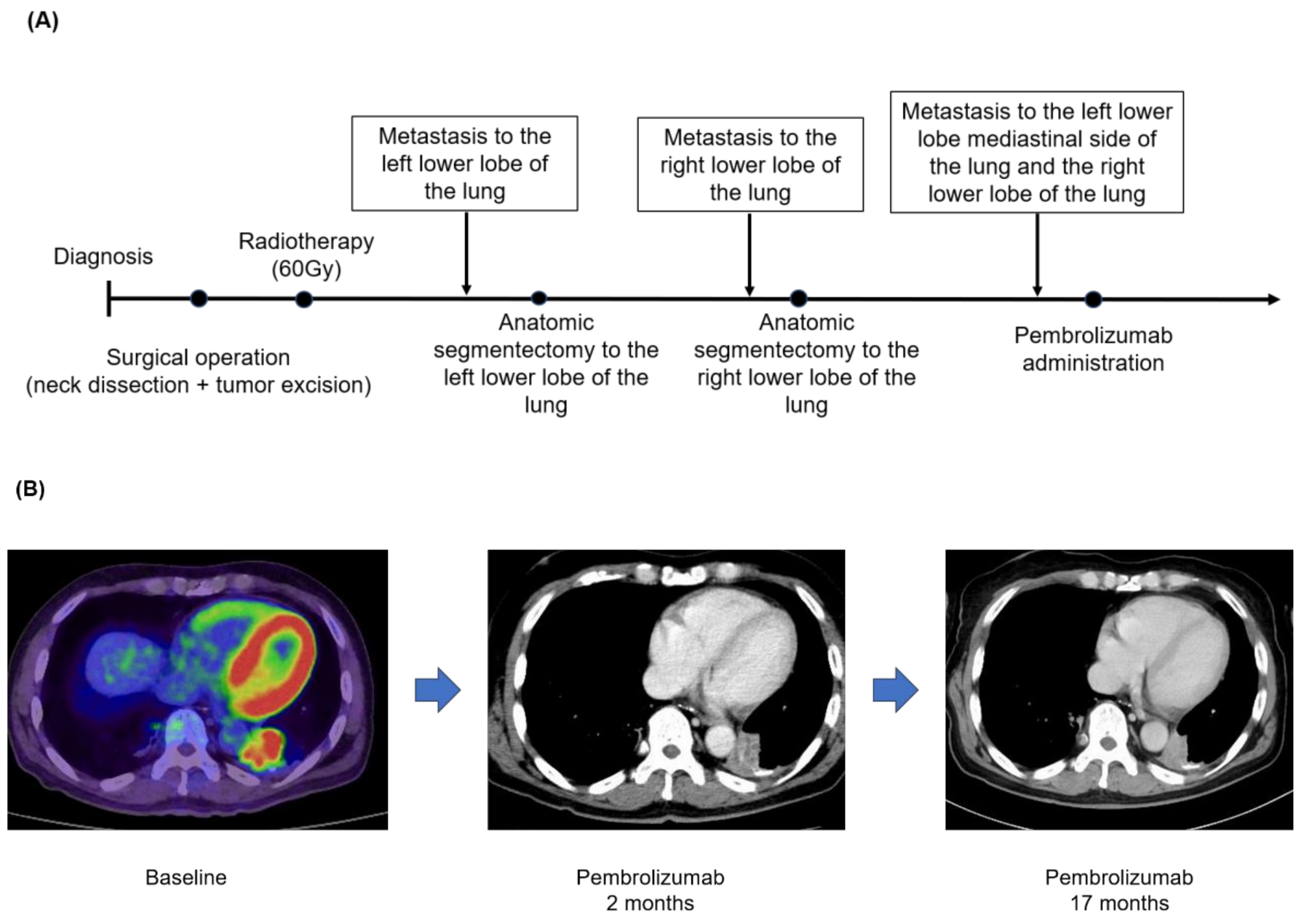 Medicina 59 02111 g002