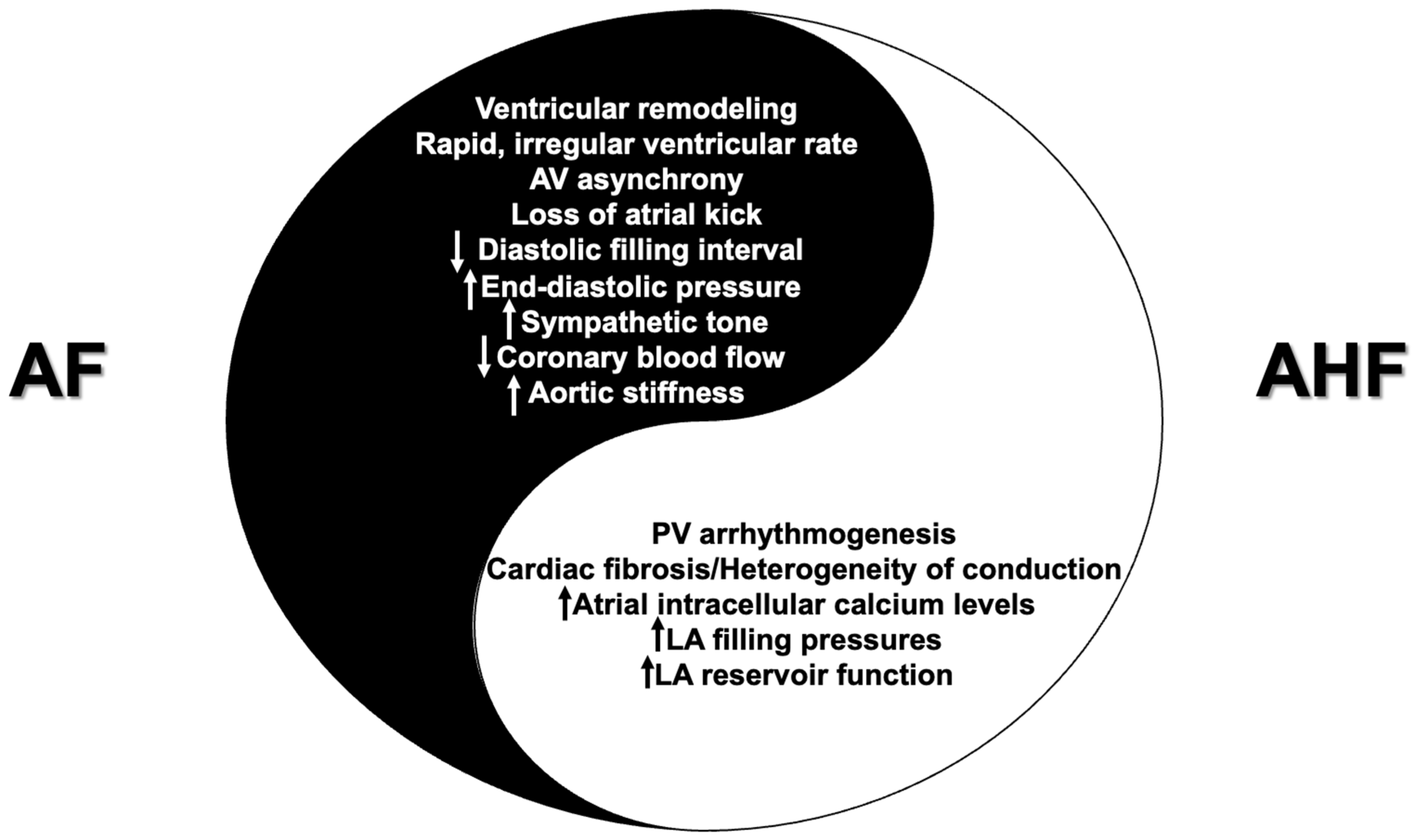 Medicina 59 02113 g001