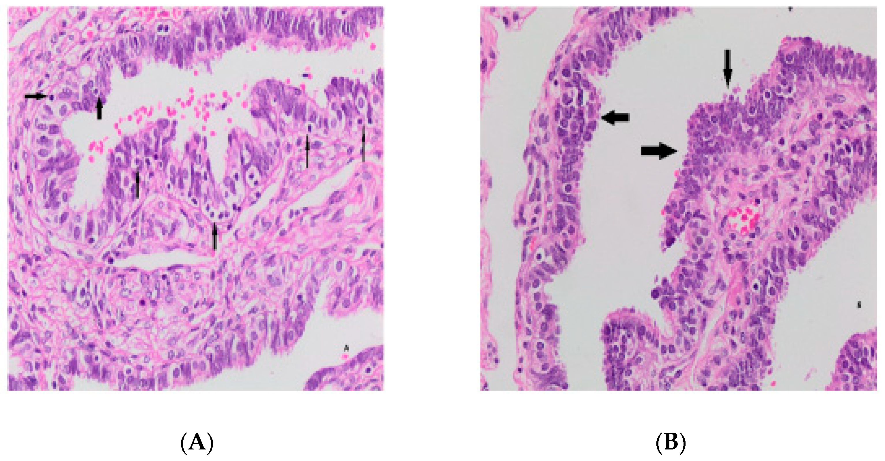 Medicina 59 02117 g001