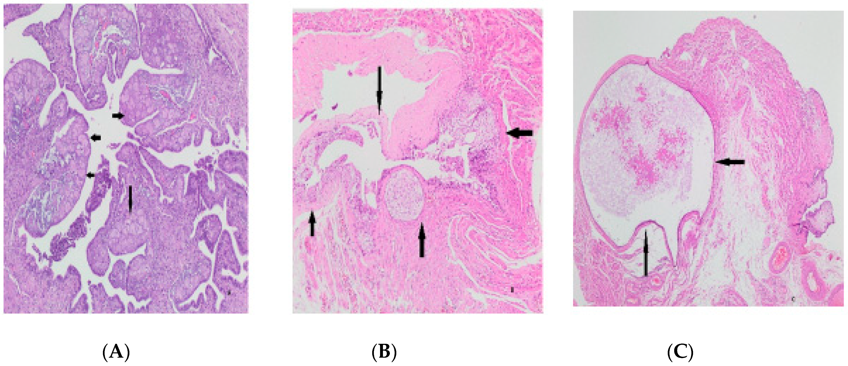 Medicina 59 02117 g004