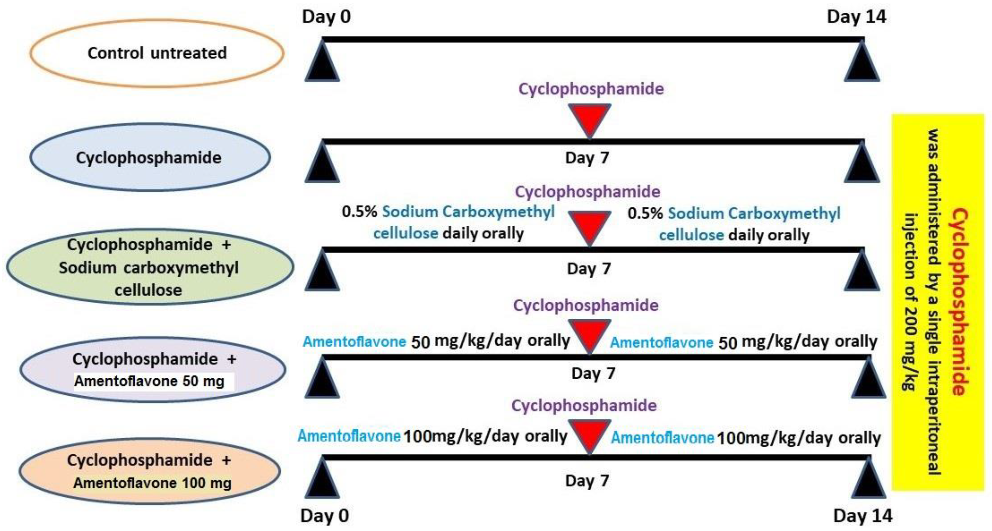 Medicina 59 02119 g001