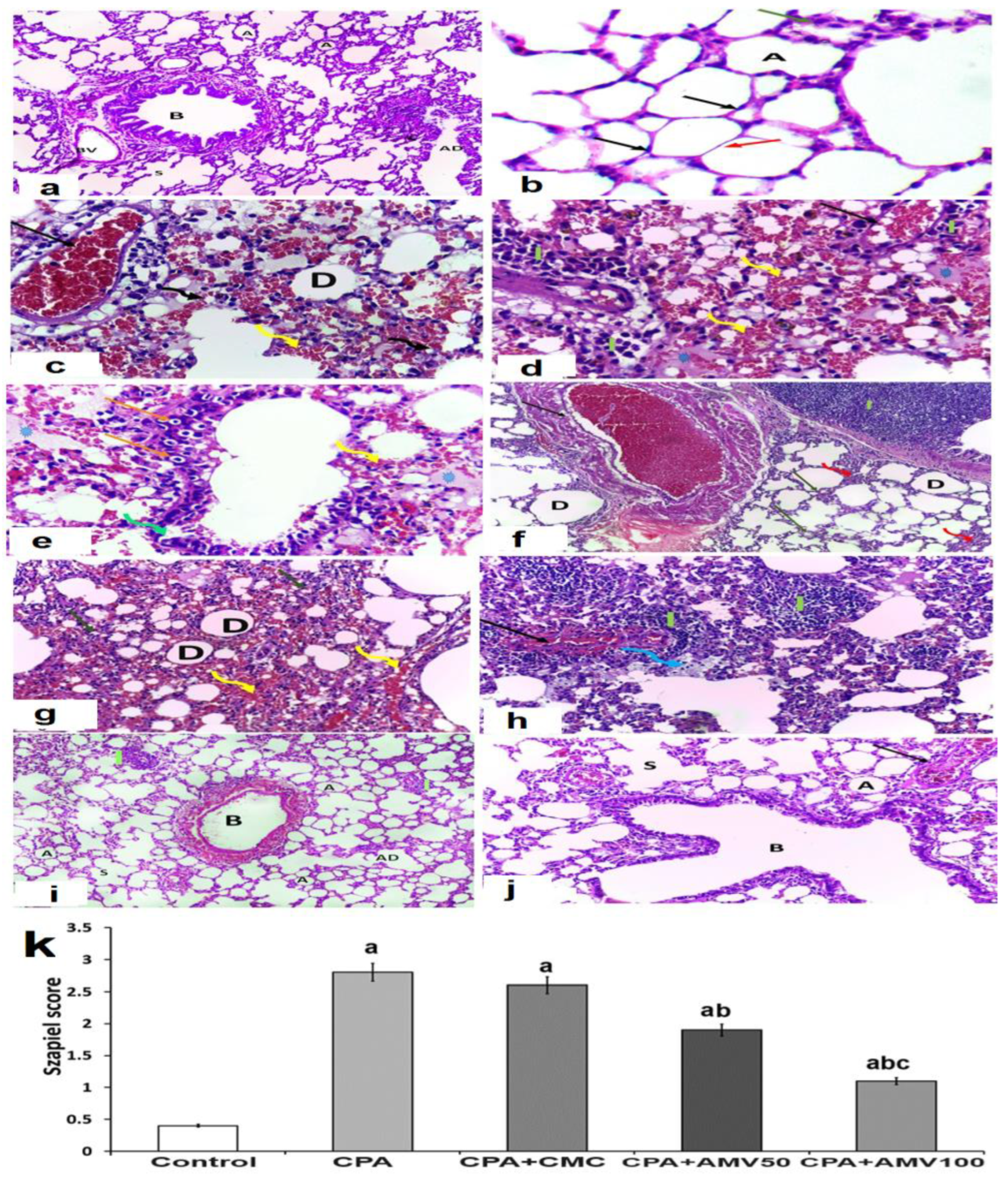 Medicina 59 02119 g009