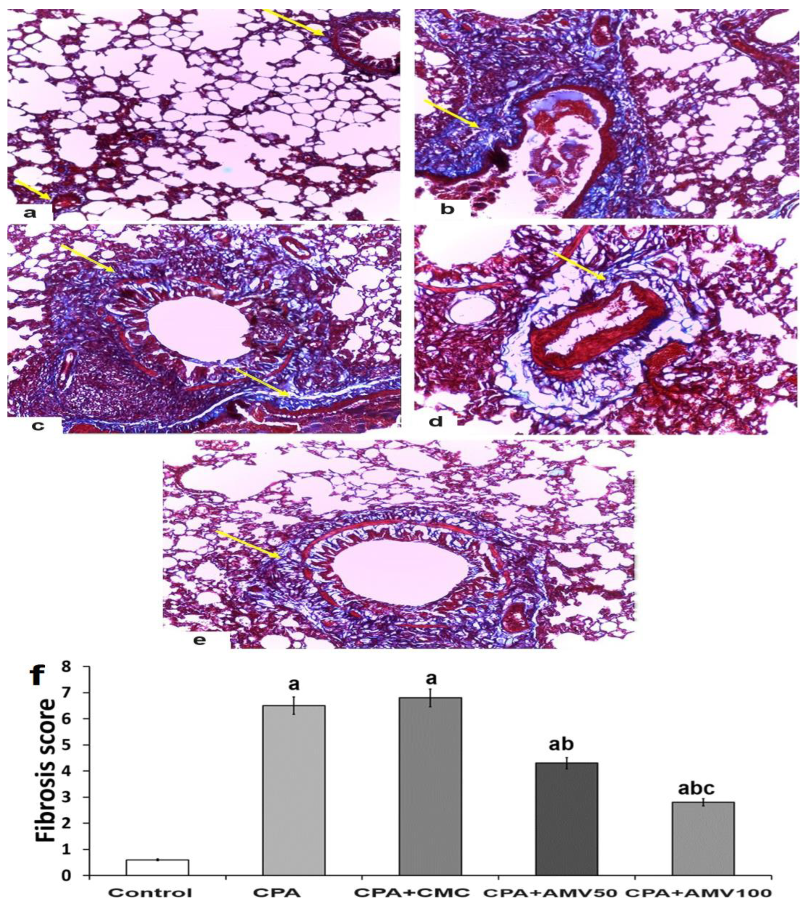 Medicina 59 02119 g010
