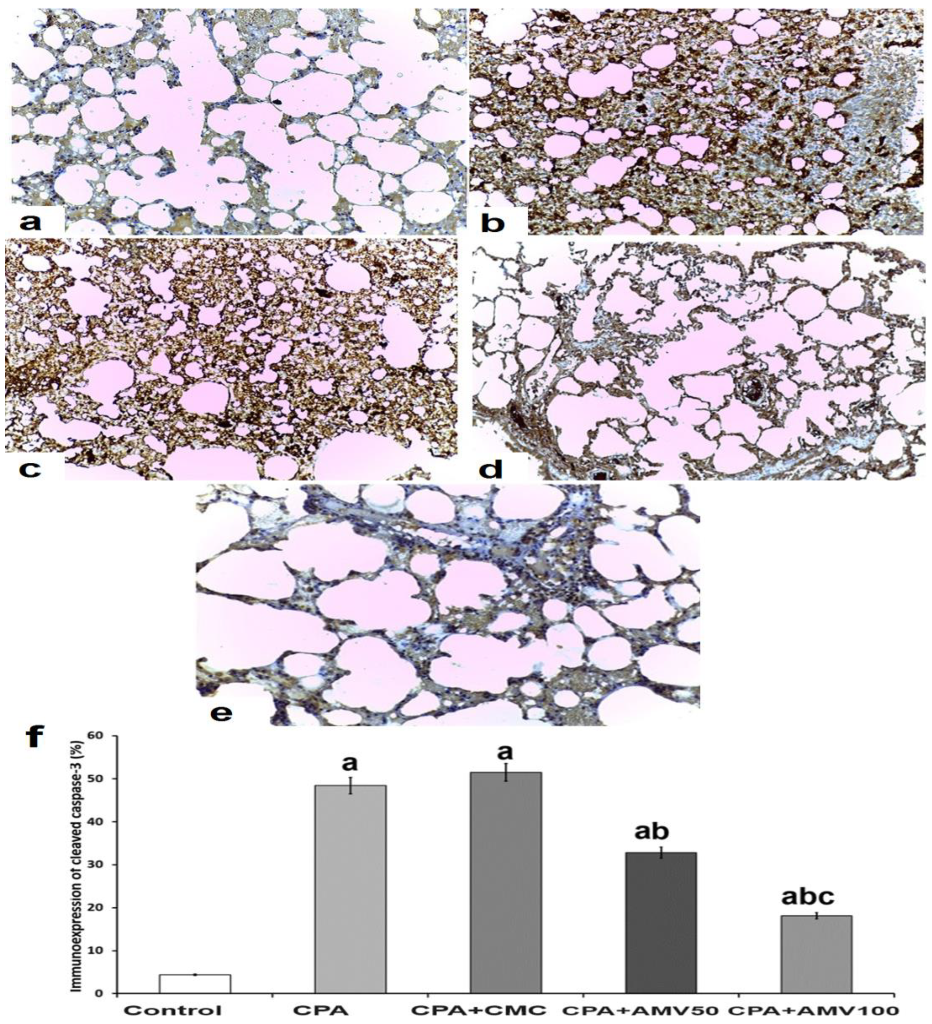 Medicina 59 02119 g011