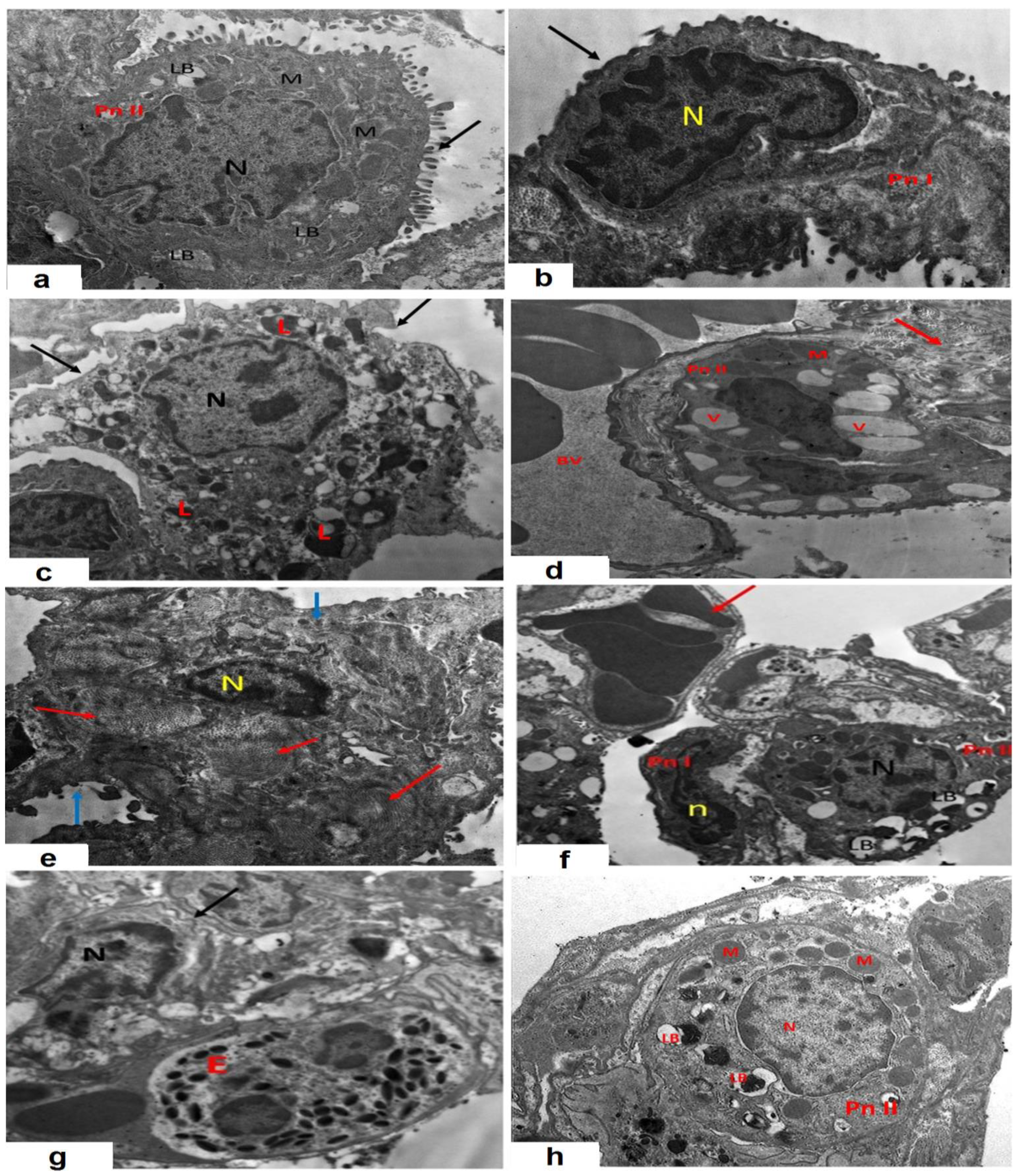 Medicina 59 02119 g012