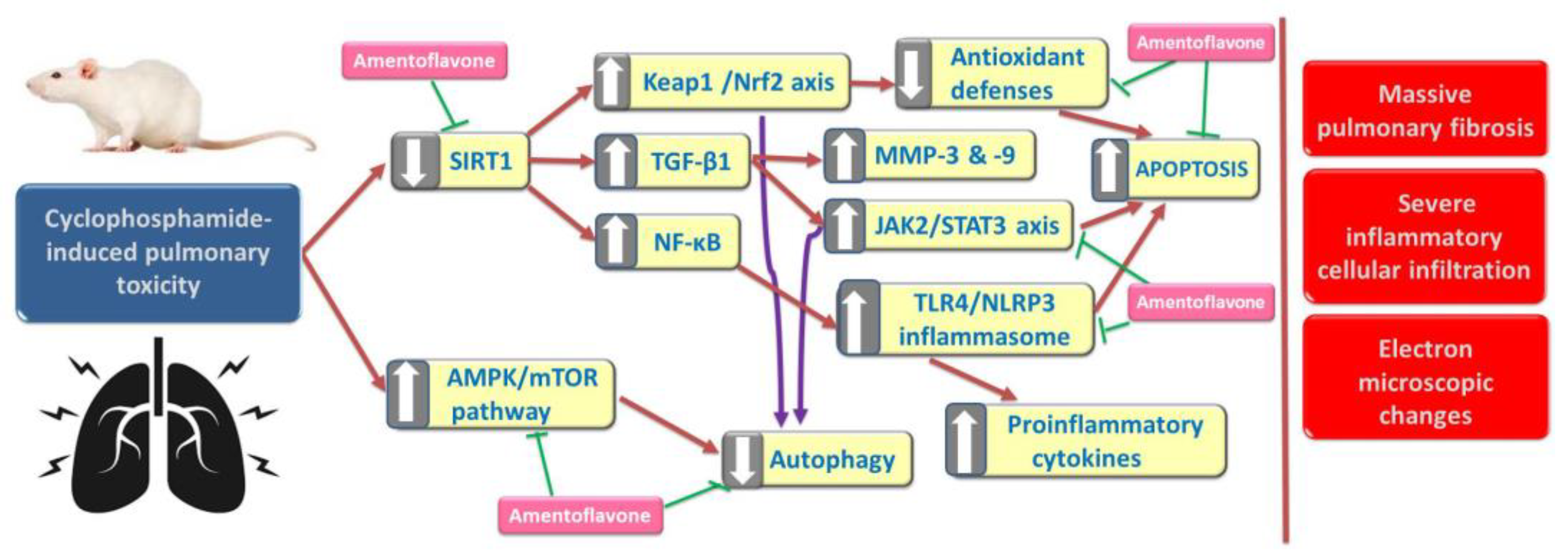 Medicina 59 02119 g013