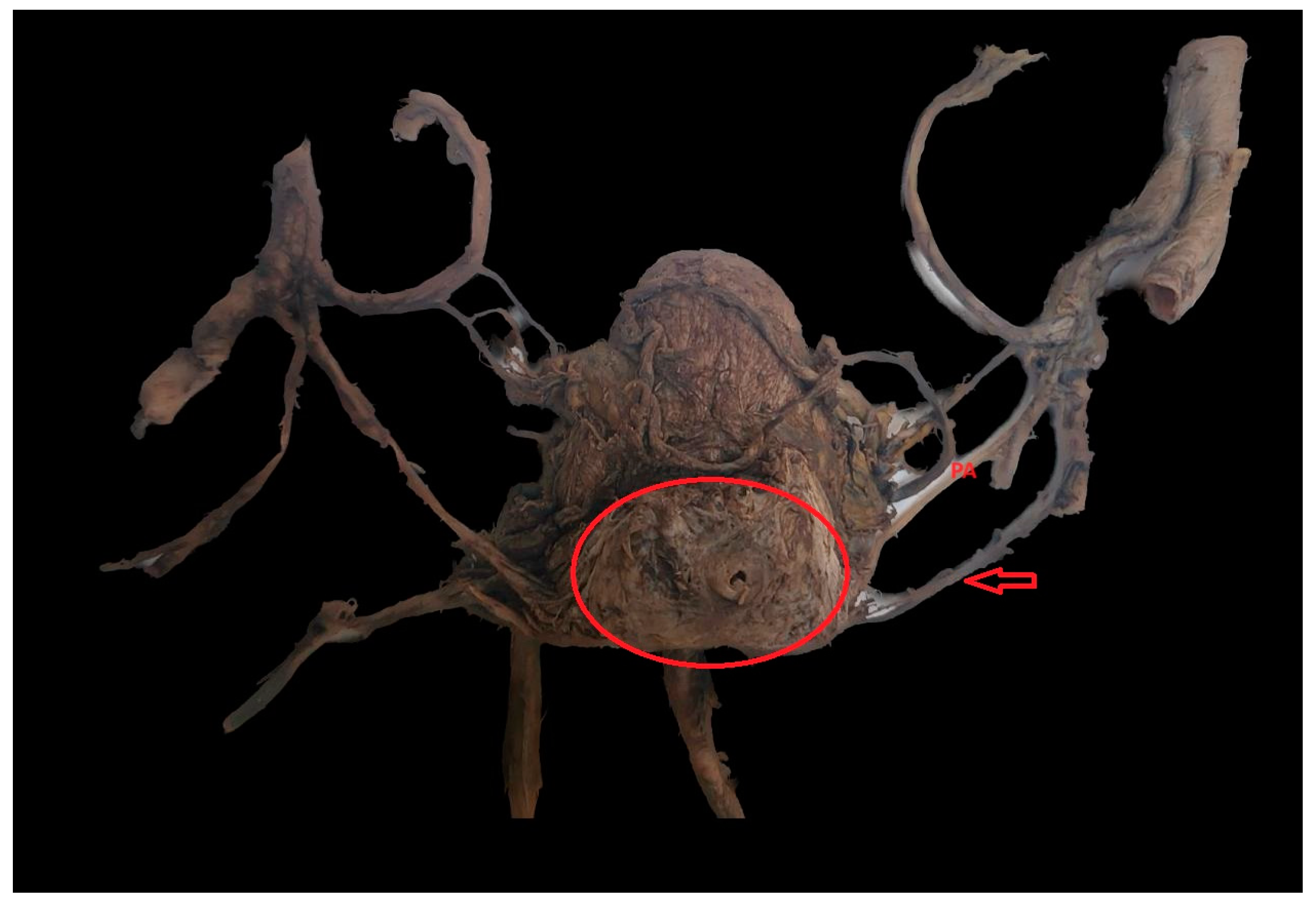 Medicina 59 02122 g001