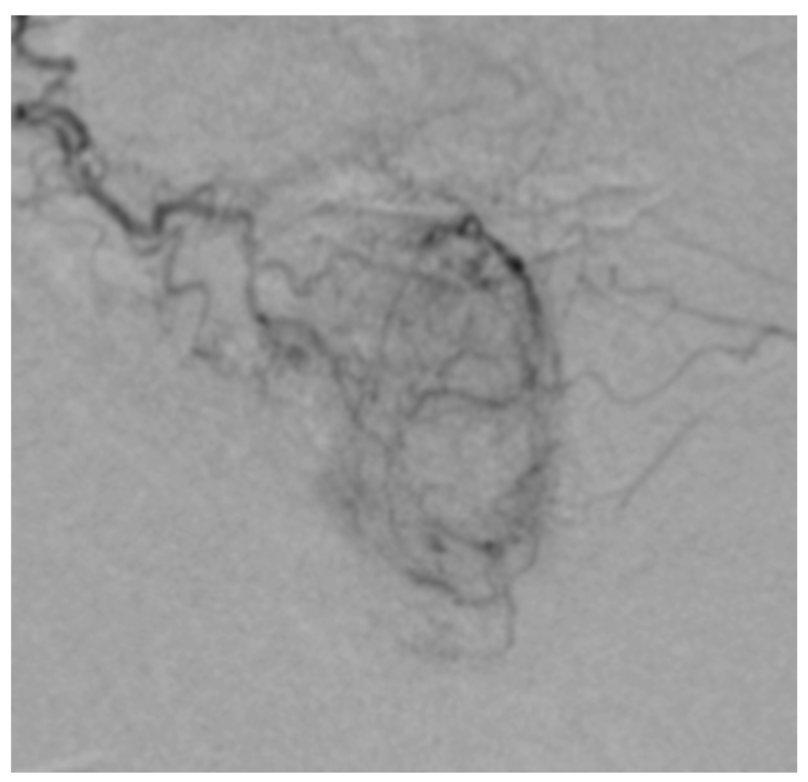 Medicina 59 02122 g002