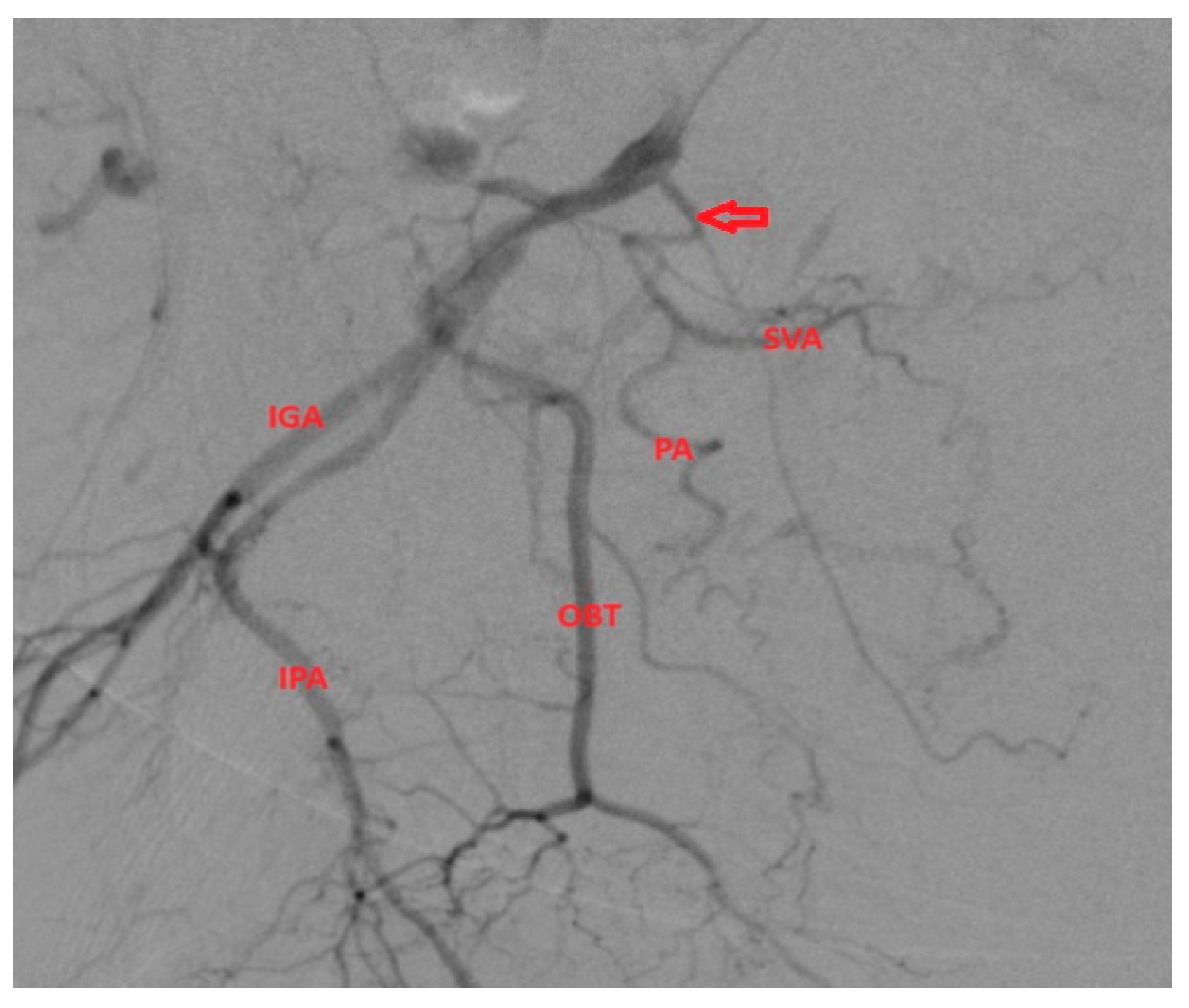 Medicina 59 02122 g005