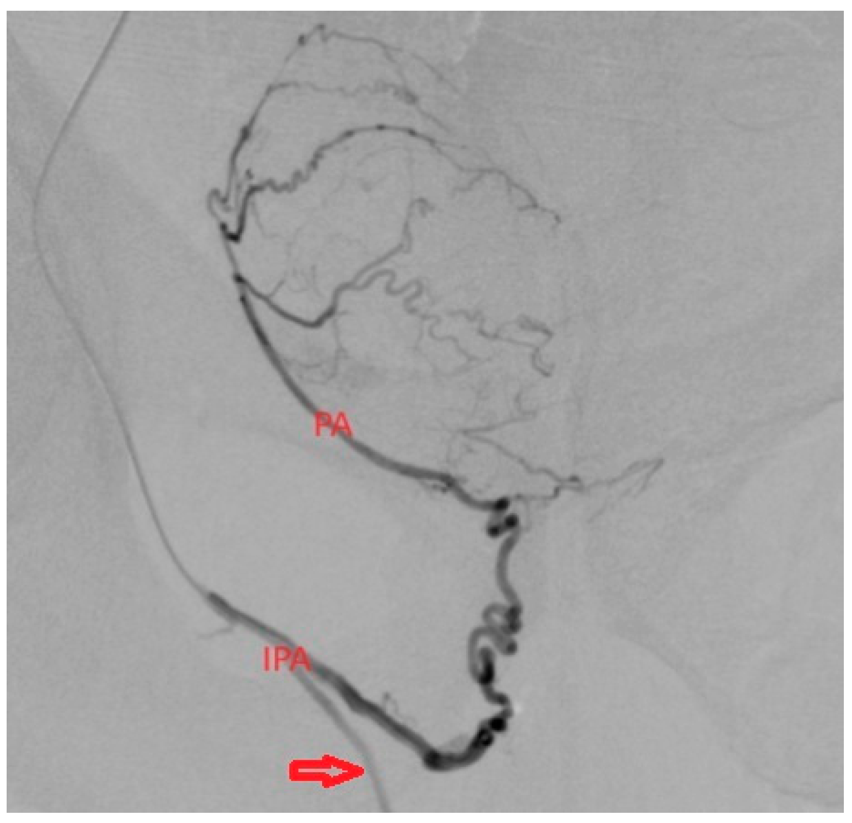 Medicina 59 02122 g006