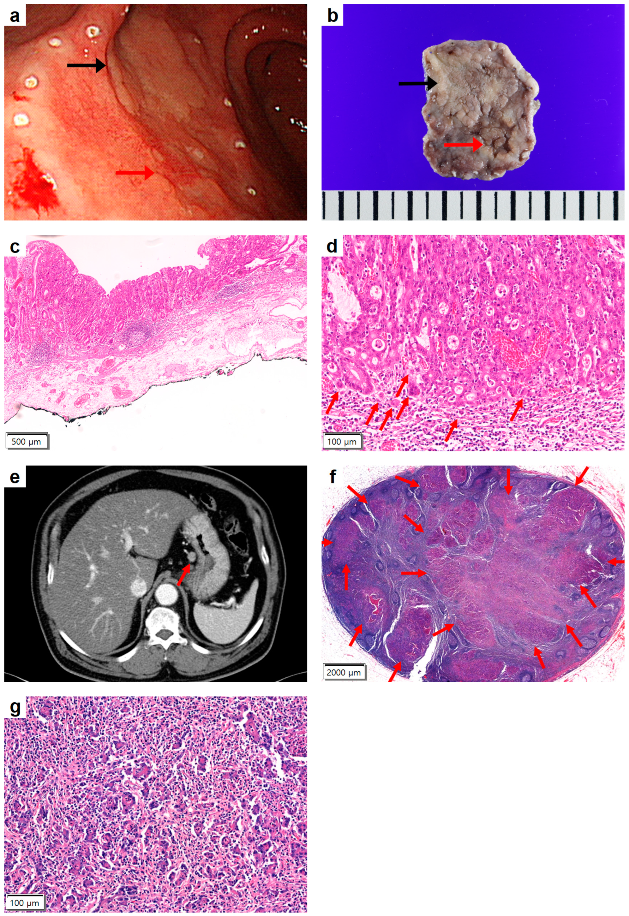 Medicina 59 02126 g001