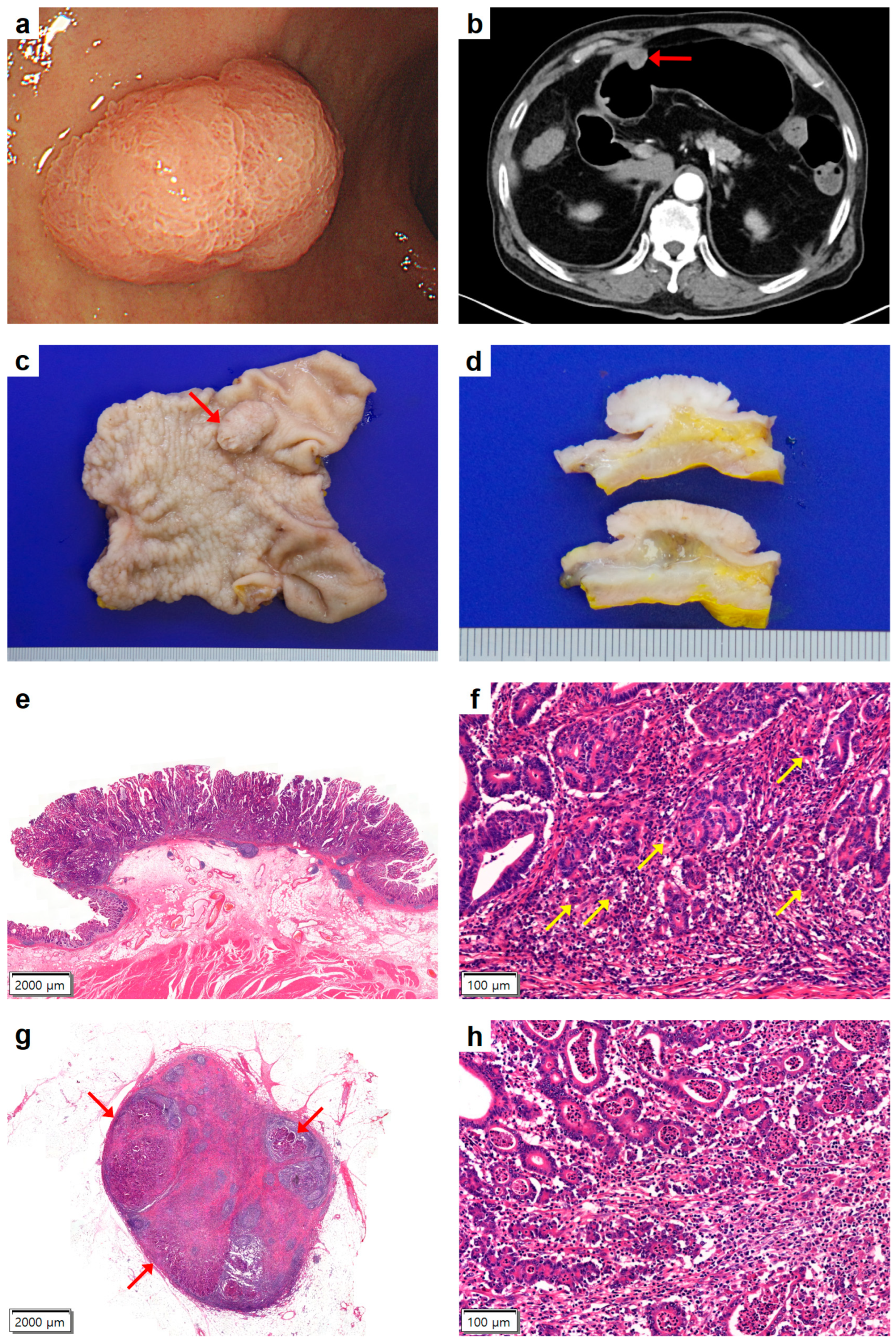 Medicina 59 02126 g002