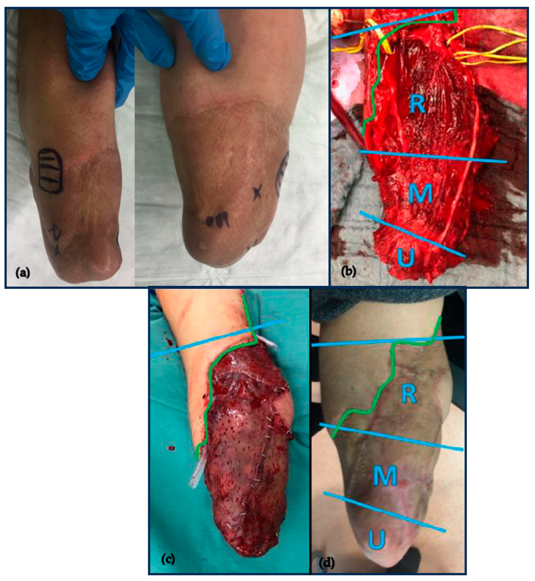 Medicina 59 02134 g001