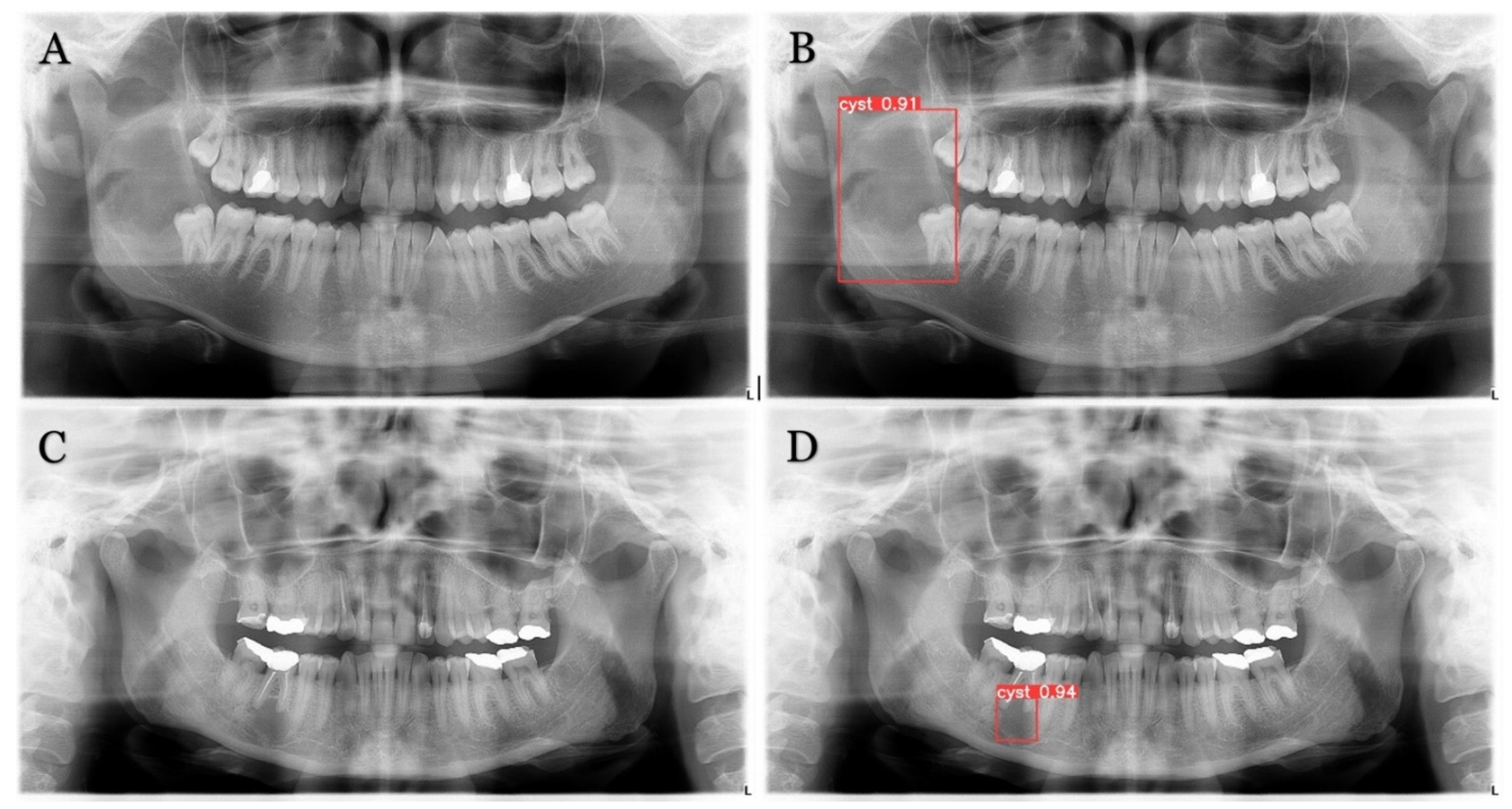 Medicina 59 02138 g004