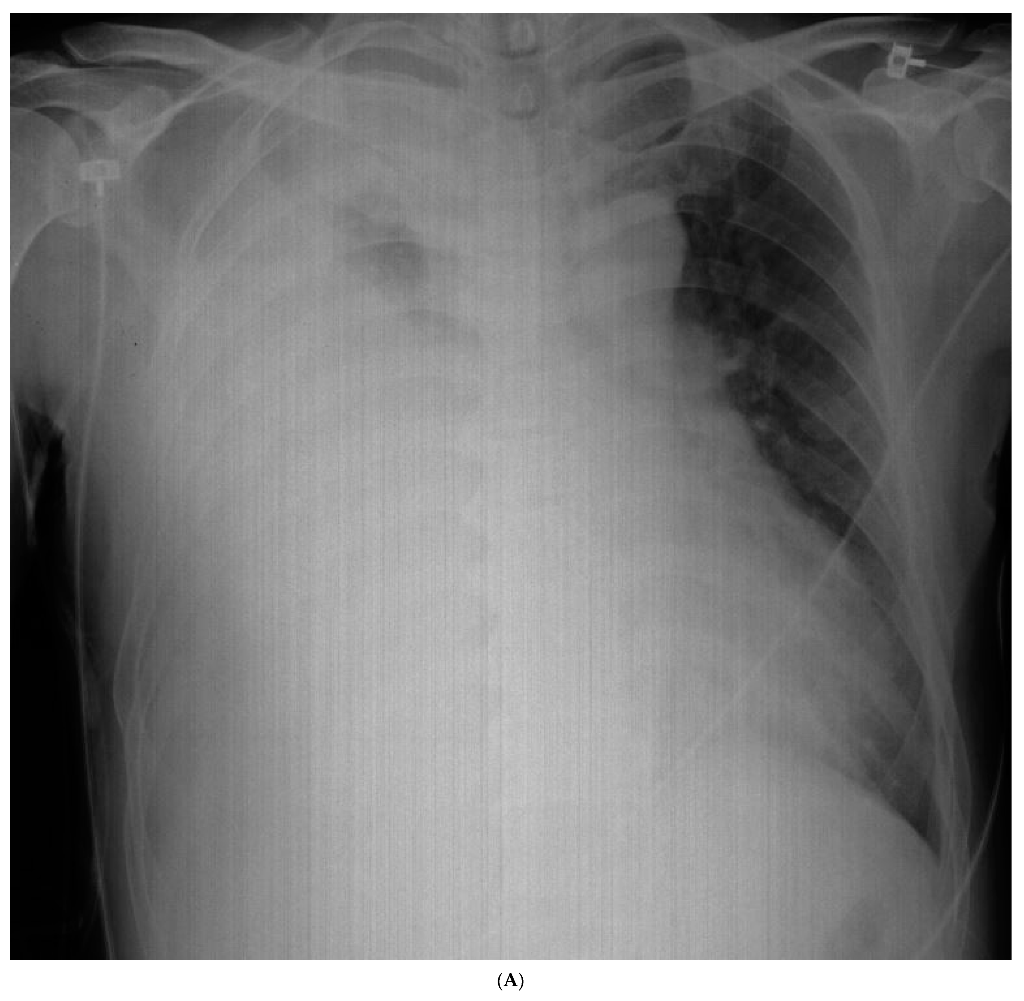 Medicina 59 02144 g001a