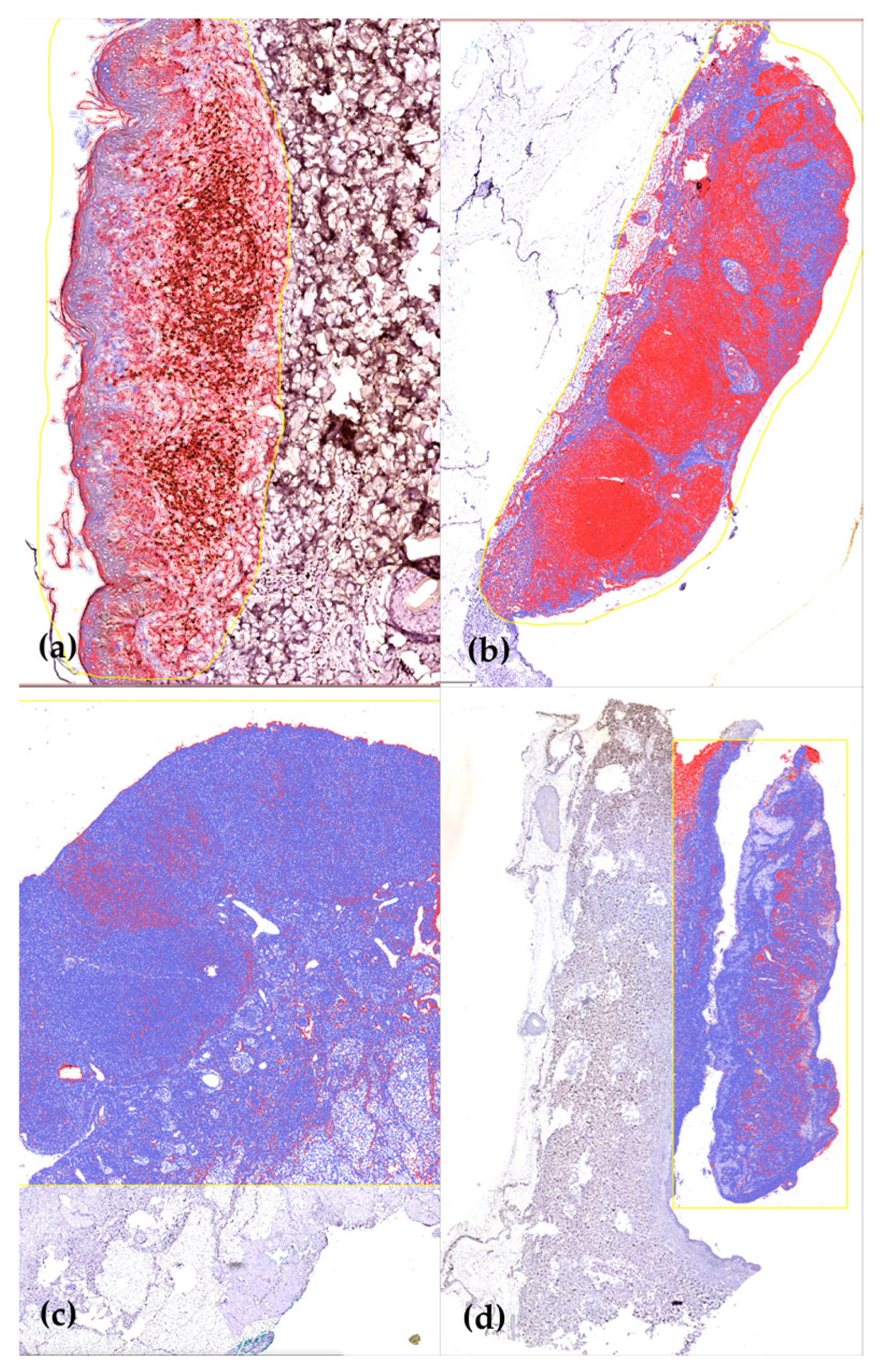 Medicina 59 02151 g002