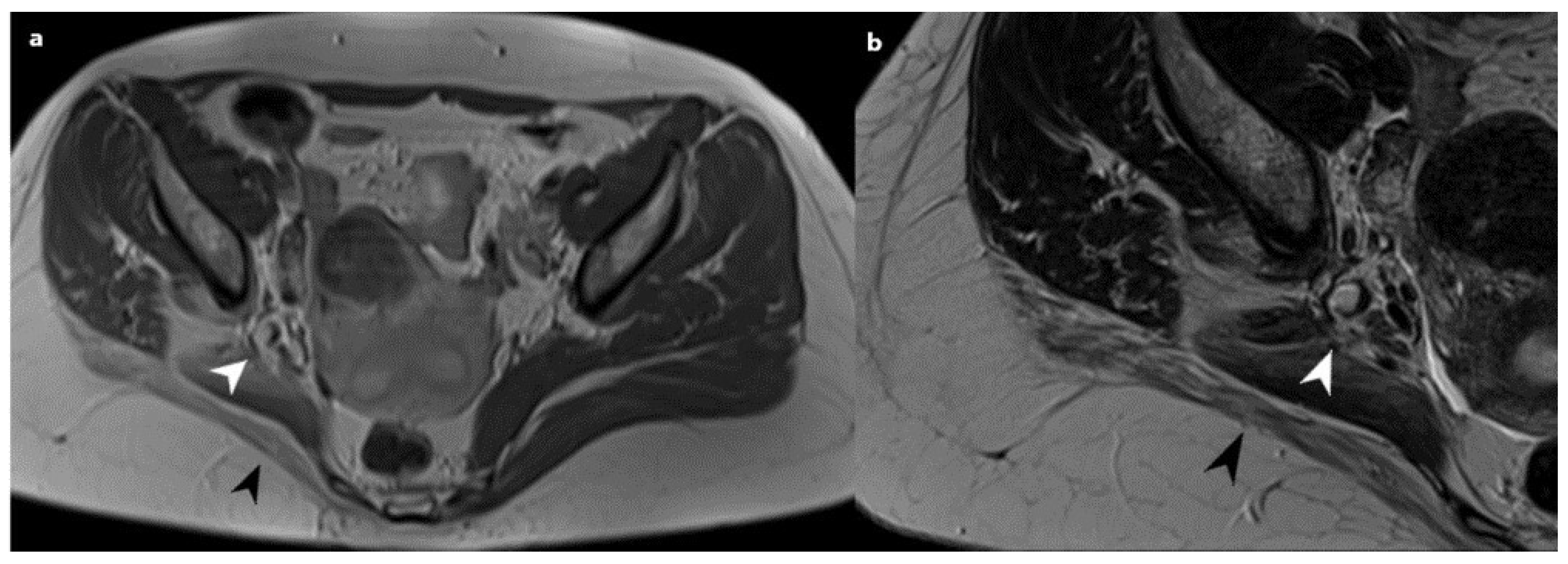 Medicina 59 02161 g003