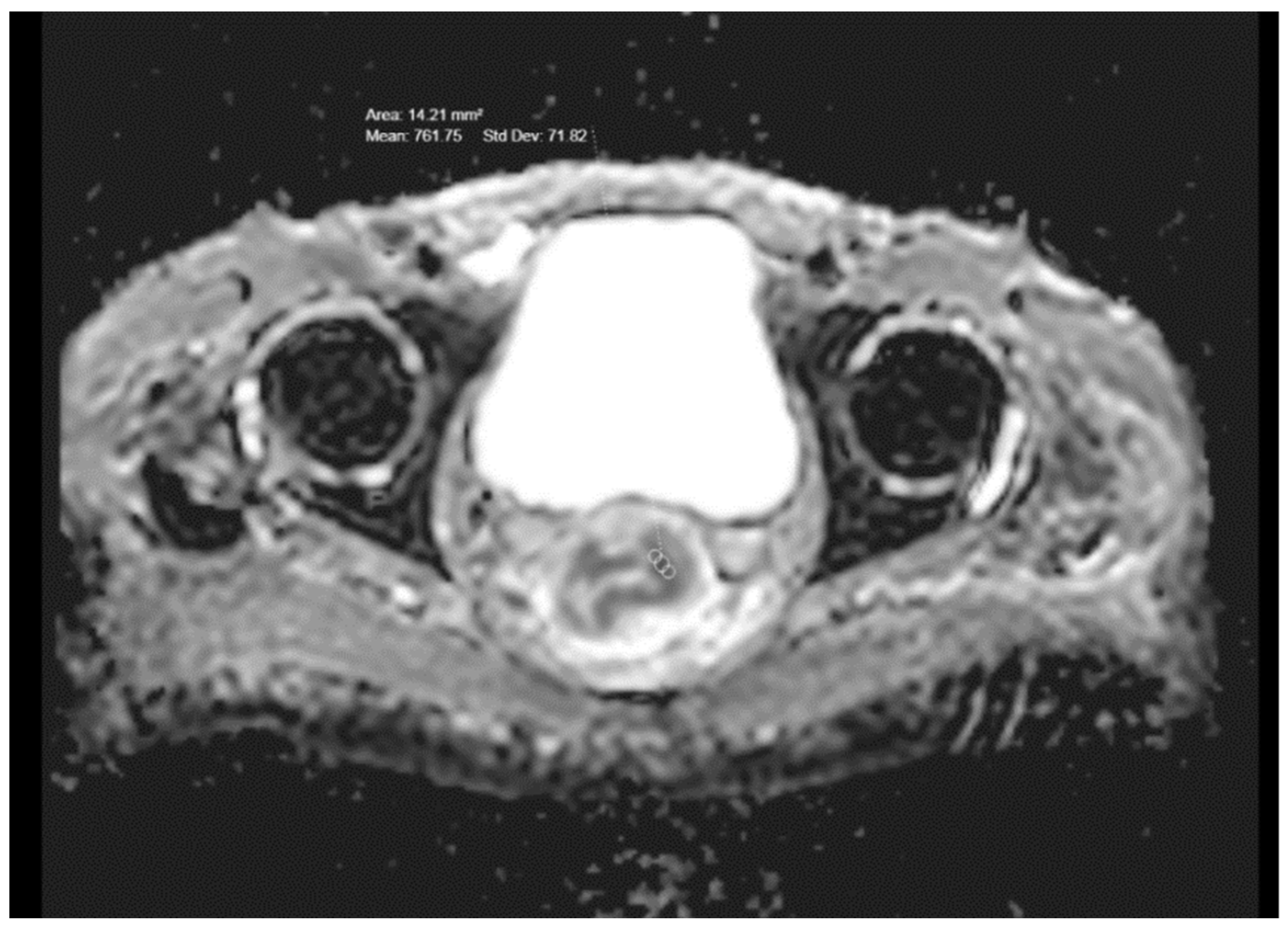 Medicina 59 02162 g002 Medicina 59 02162 g002