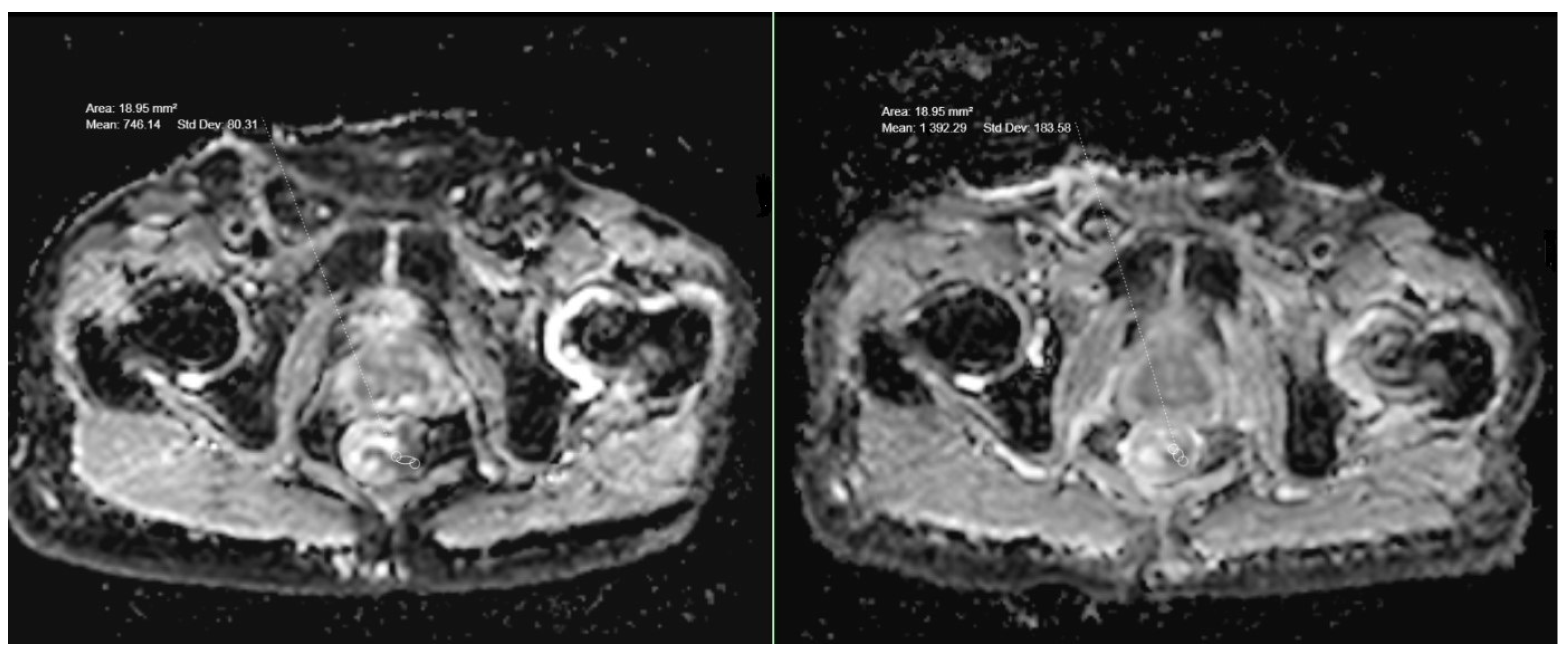 Medicina 59 02162 g003 Medicina 59 02162 g003