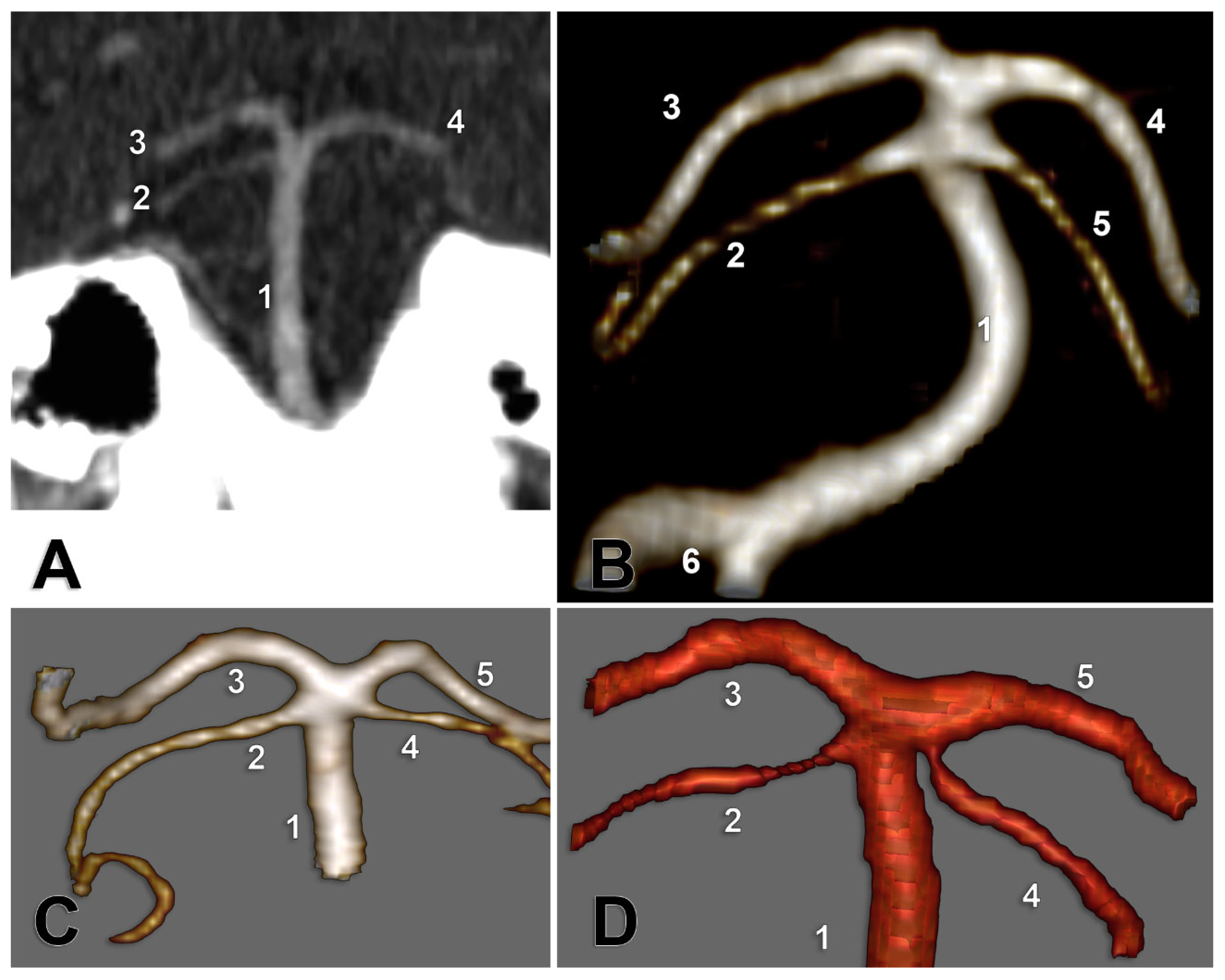 Medicina 59 02164 g003