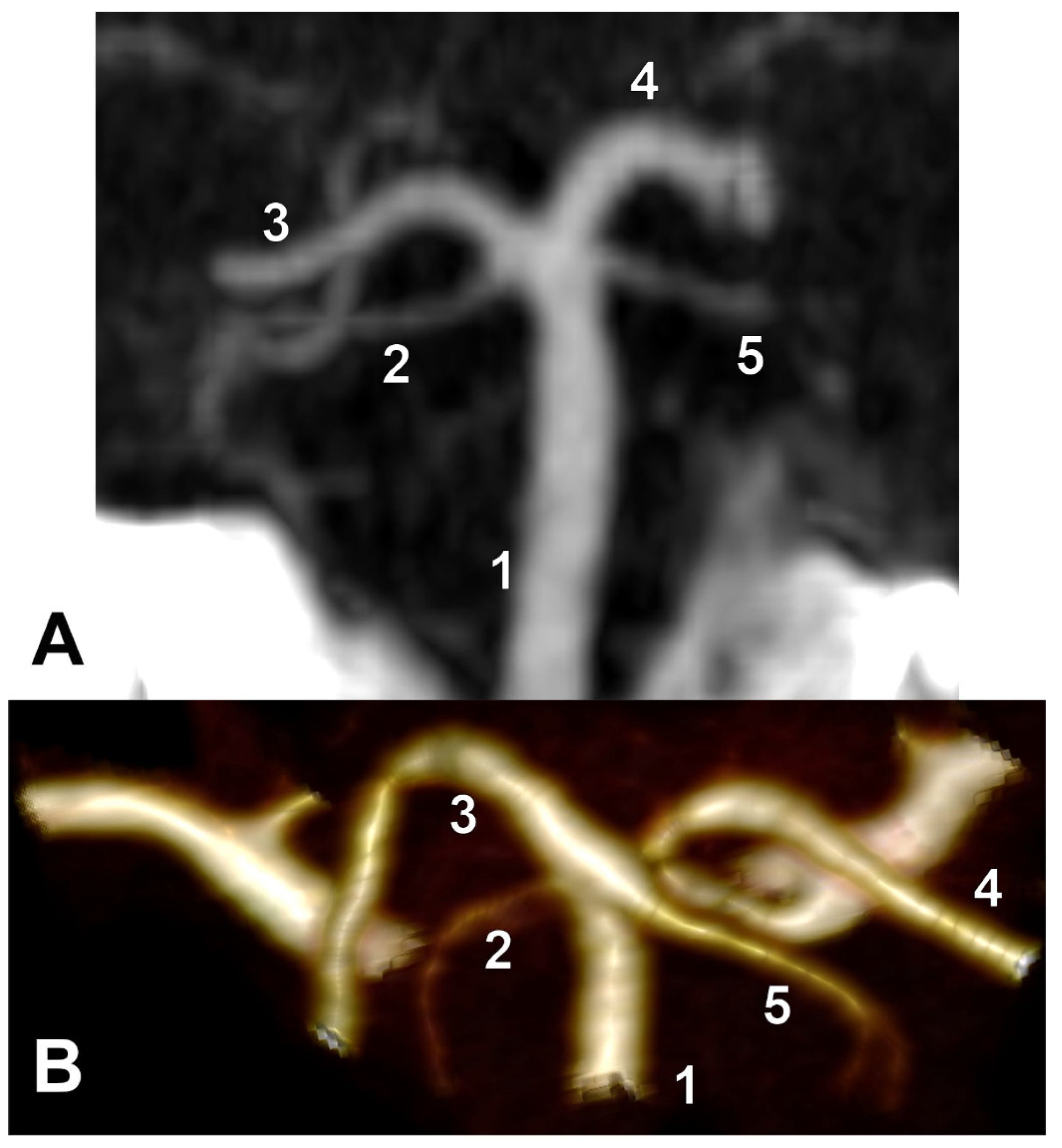 Medicina 59 02164 g004