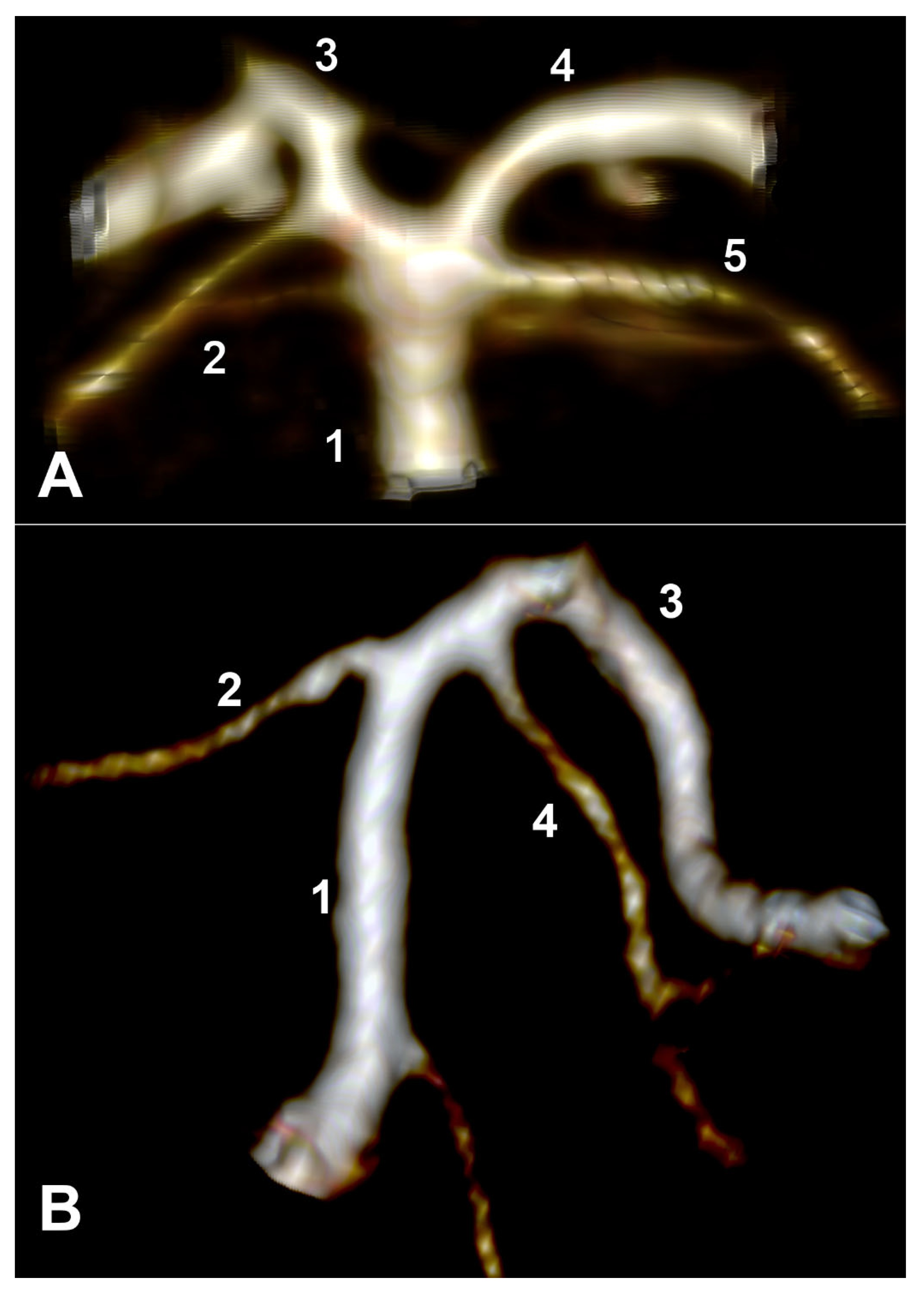 Medicina 59 02164 g005